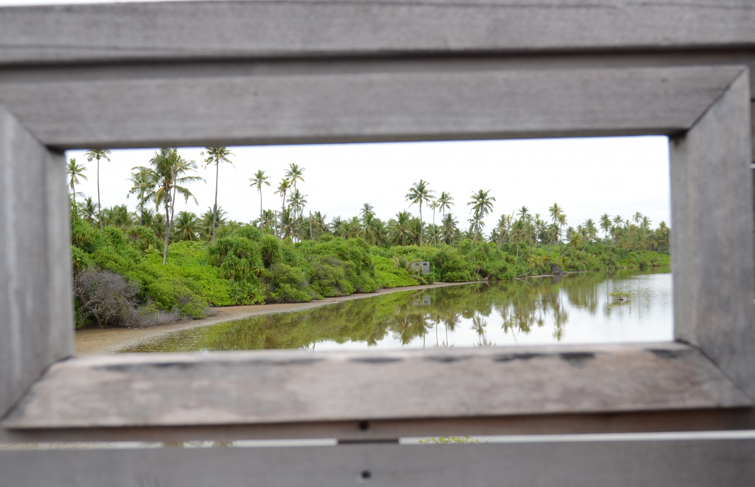 ސ. ހިތަދޫ: ޖުލައި 17، 2019- އައްޑޫ ނޭޗާ ޕާކްގެ ހިތްގައިމު މަންޒަރެއް.---ފޮޓޯ: އަހުމަދު މަހްޒޫމް