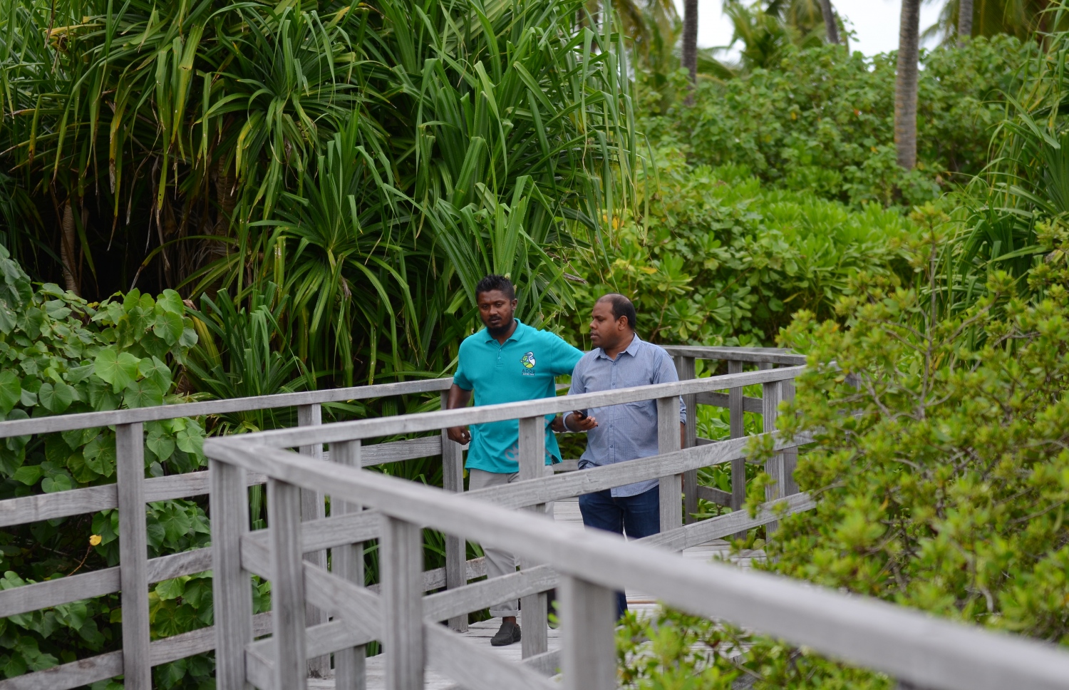 ސ. ހިތަދޫ: ޖުލައި 17، 2019- ސީނިއާ ޕާކް ވޯޑް އަބްދުލް ހާދީ، އައްޑޫ ނޭޗާ ޕާކާ ގުޅޭ މައުލޫމާތު "މިހާރު" އަށް ކިޔައިދެނީ.---ފޮޓޯ: އަހުމަދު މަހްޒޫމް