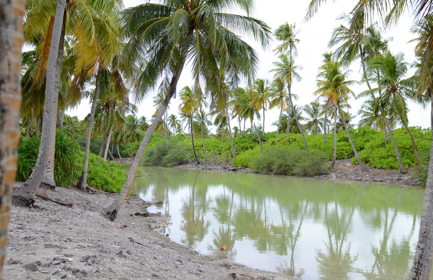 ސ. ހިތަދޫ: ޖުލައި 17، 2019- އައްޑޫ ނޭޗާ ޕާކްގެ ހިތްގައިމު މަންޒަރެއް.---ފޮޓޯ: އަހުމަދު މަހްޒޫމް