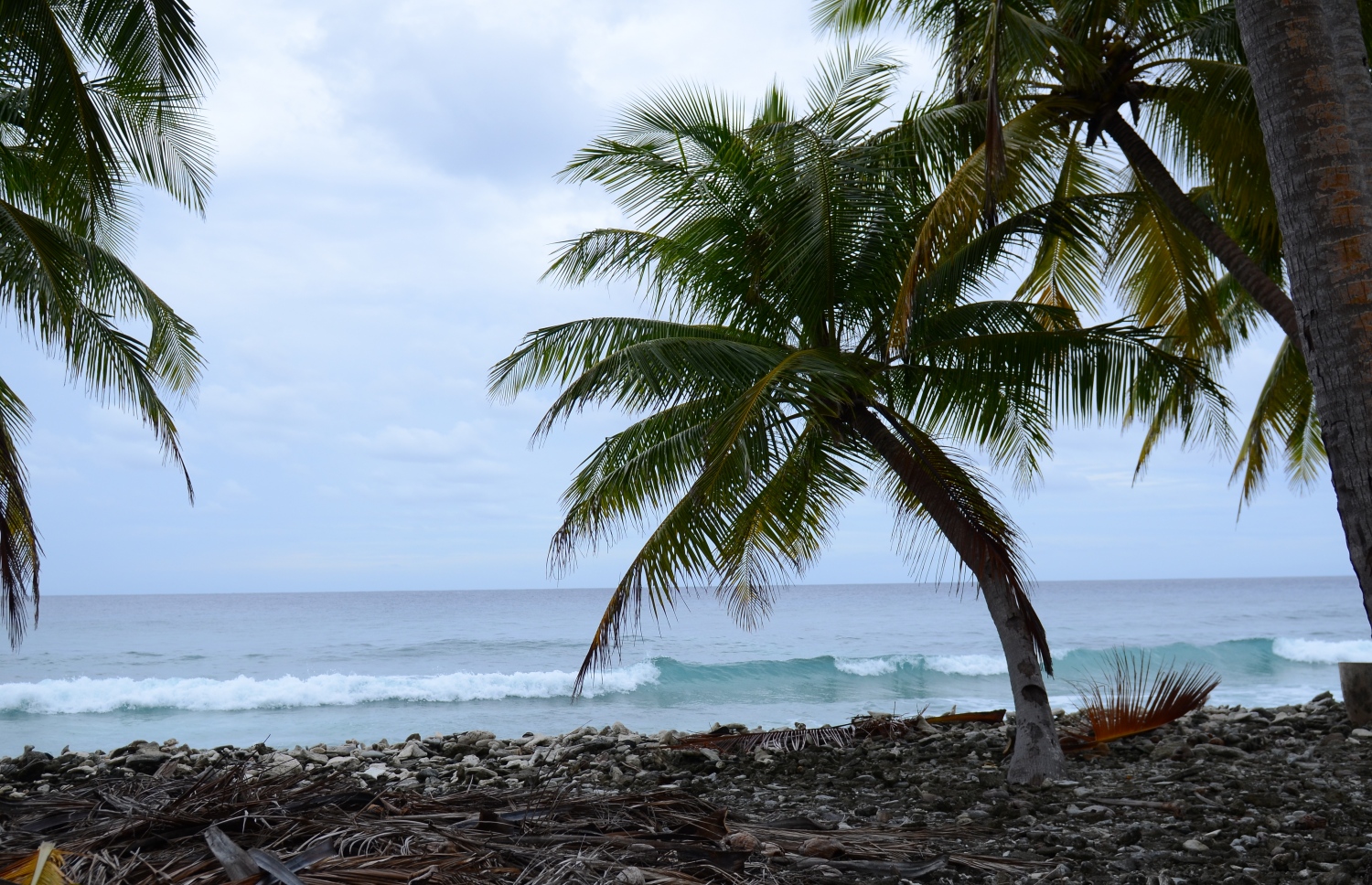 ސ. ހިތަދޫ: ޖުލައި 17، 2019- އައްޑޫ ނޭޗާ ޕާކްގެ ހިތްގައިމު މަންޒަރެއް.---ފޮޓޯ: އަހުމަދު މަހްޒޫމް