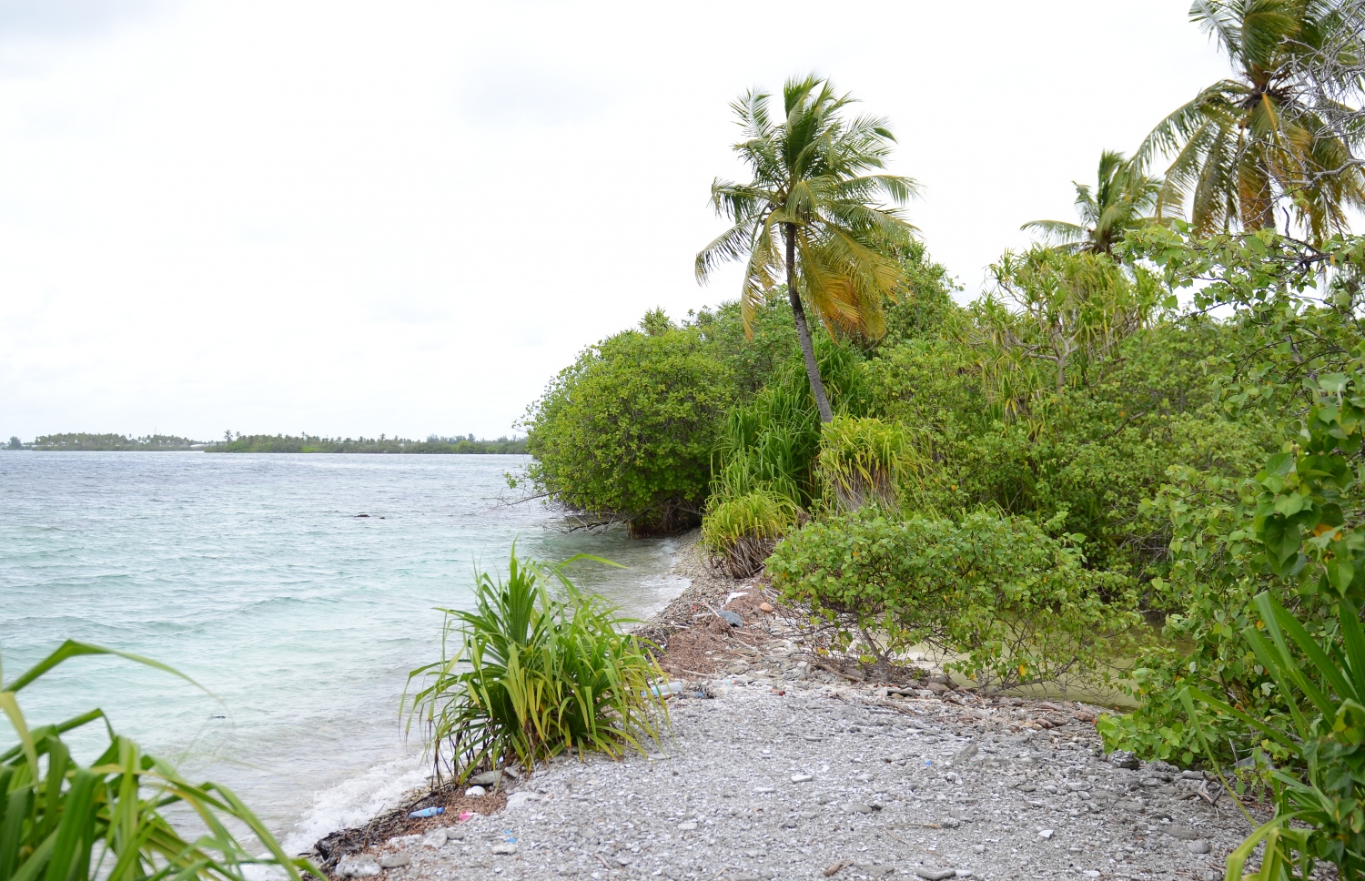 ސ. ހިތަދޫ: ޖުލައި 17، 2019- އައްޑޫ ނޭޗާ ޕާކްގެ ހިތްގައިމު މަންޒަރެއް.---ފޮޓޯ: އަހުމަދު މަހްޒޫމް