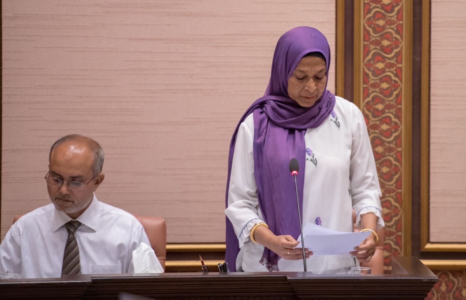 ހައުސިން މިނިސްޓަރަކަށް ހުންނެވި އިރު އާތިފާ މަޖިލިހުގައި ވާހަކަ ދައްކަވަނީ. --- ފޮޓޯ: މަޖިލިސް