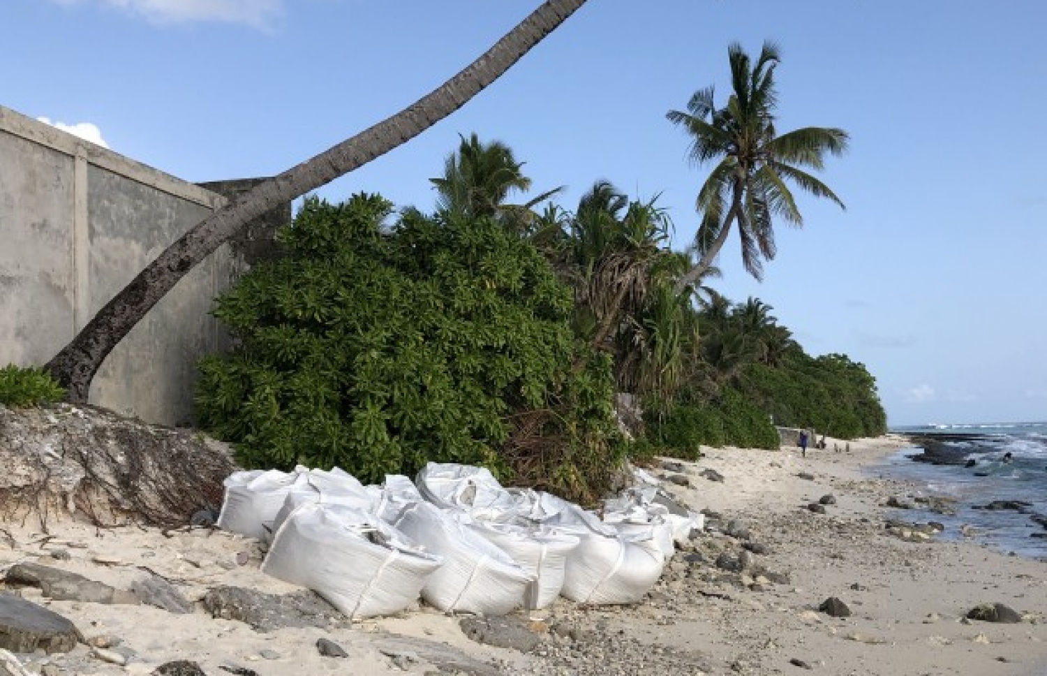 ހިތަދޫ ގިރާ ސަރަހައްދުގައި ޖަމްބޯ ބޭގްތަކެއް ކުރިން  ބަހައްޓާފައި.