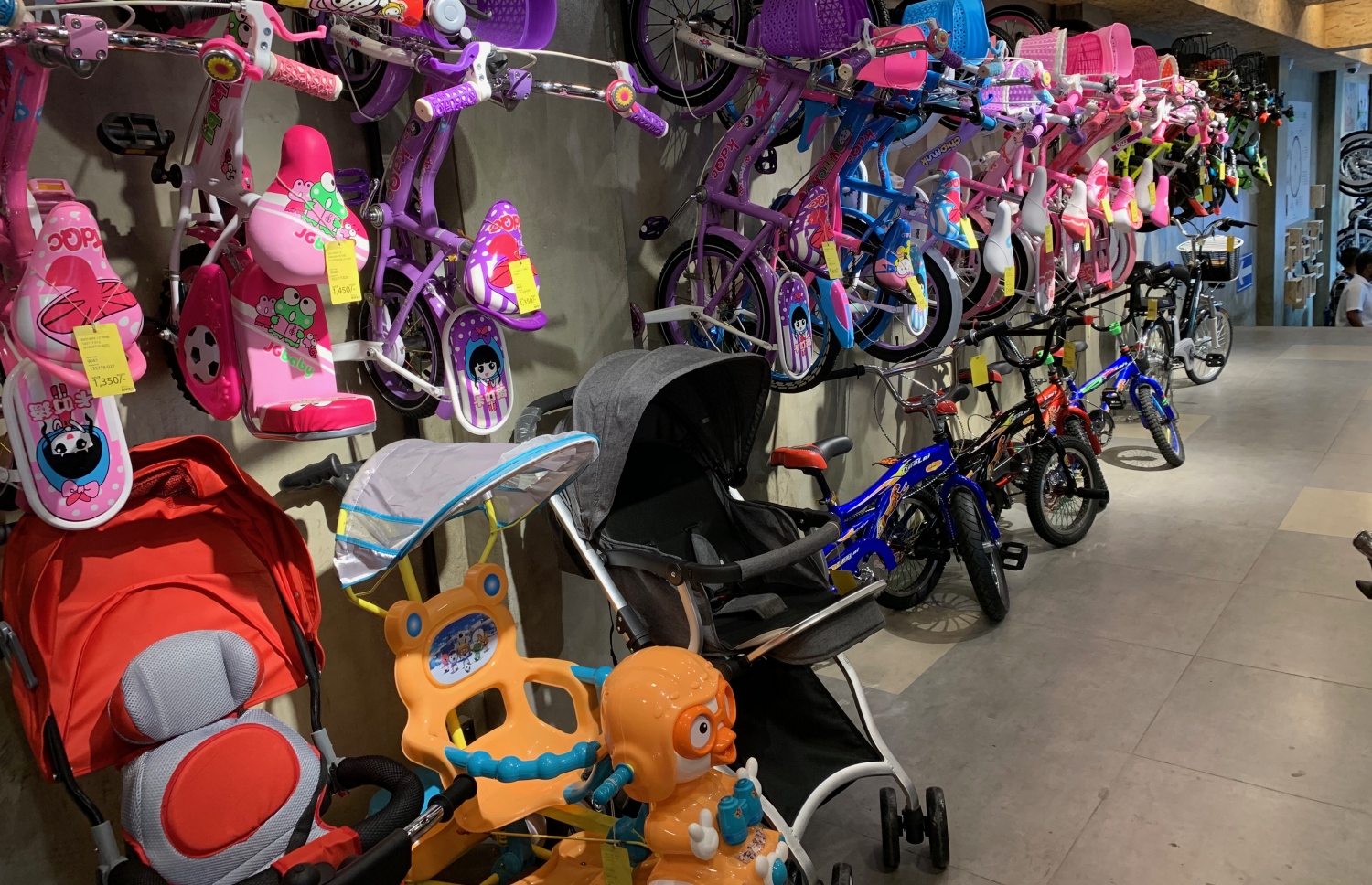 ސަންފްރޮންޓް ބައިކްސް އިން ތުއްތުދިންގެ ސްޓްރޯލާސް ވެސް ލިބެން ހުރޭ-- ފޮޓޯ: މިހާރު