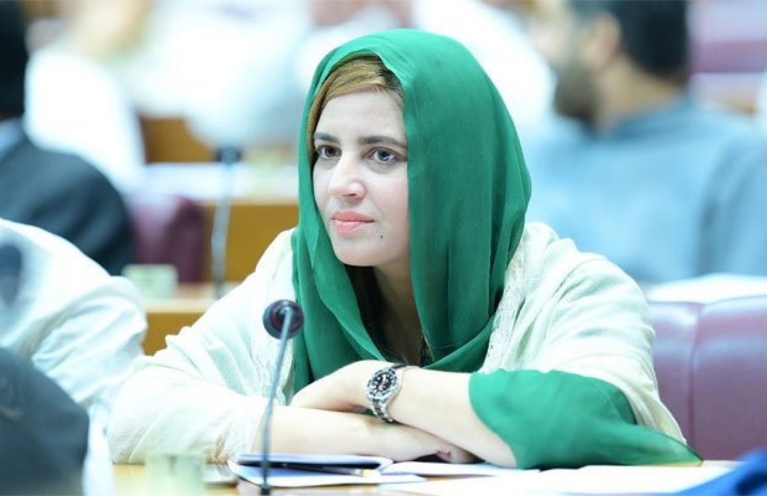 ޕާކިސްތާނުގެ ކްލއިމެޓްޗޭންޖް މިނިސްޓަރު ޒަރްތާޖް ގުލް.