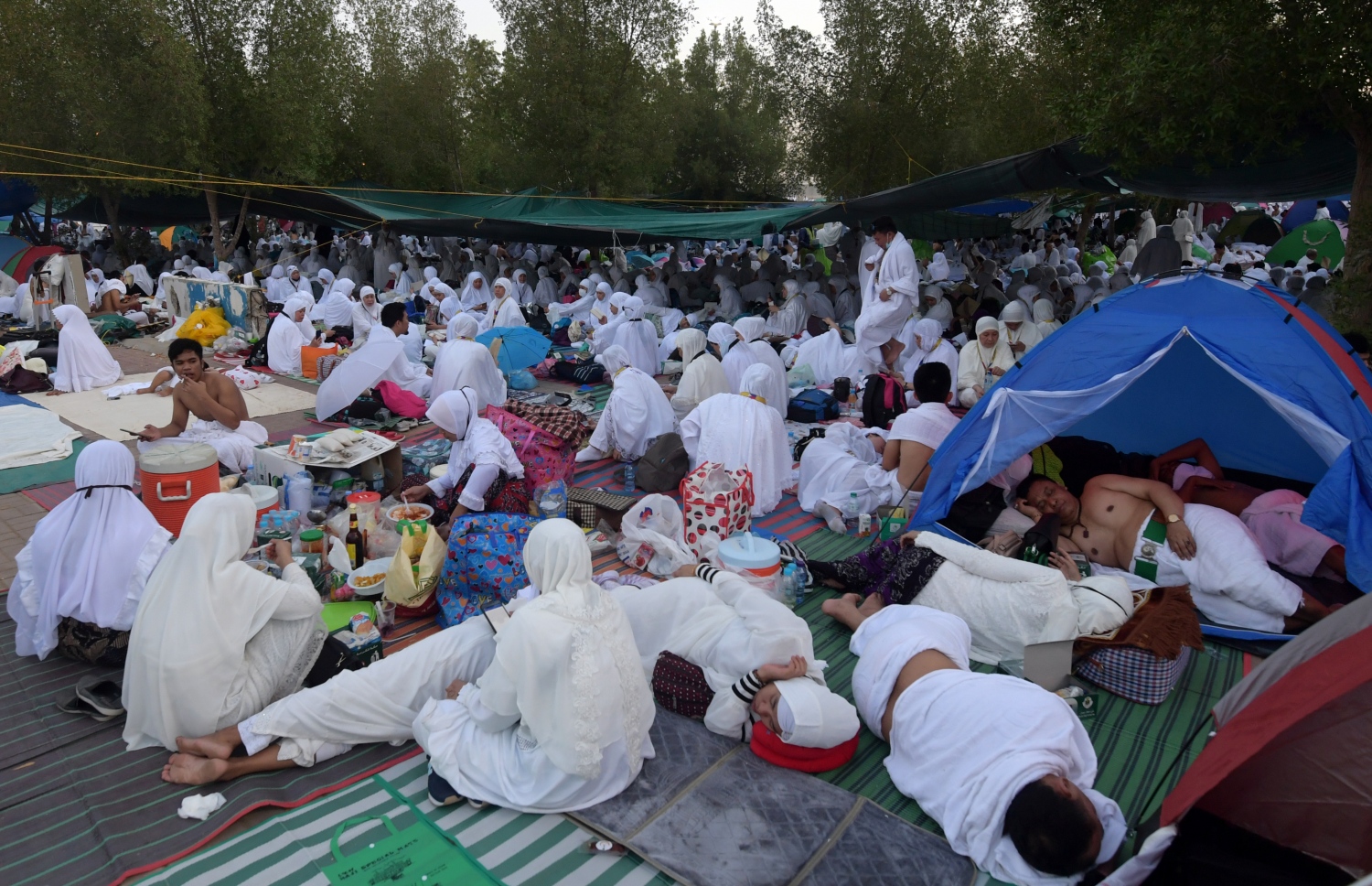 އަރަފާތު: އޮގަސްޓް 10، 2019: ހައްޖުވެރިން އަރަފާތު ބިމުގައި މަޑުކޮށްލައިގެން . --ފޮޓޯ:އޭއެފްޕީ