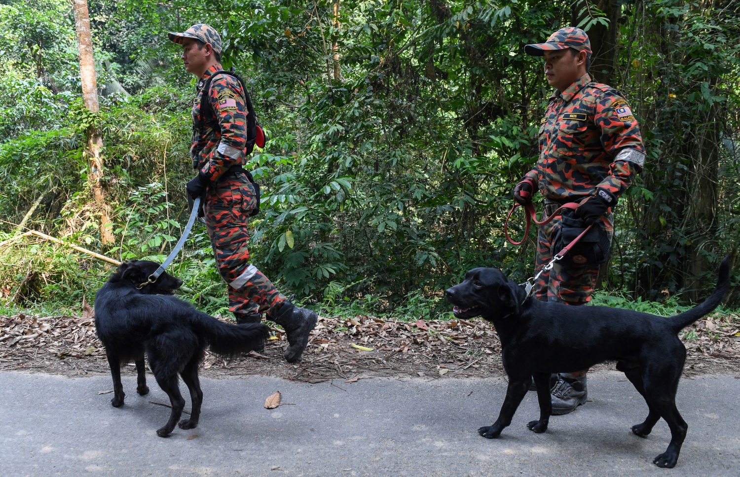 މެލޭޝިއާގެ ރިސޯޓަކުން ގެއްލުނު ޚާއްސަ އެހީ އަށް ބޭނުންވާ ނޯރާ ހޯދުމުގައި ރެސްކިއު ޓީމުގެ މެންބަރުން ހަރަކާތްތެރި ވަނީ. --ފޮޓޯ:އޭއެފްޕީ
