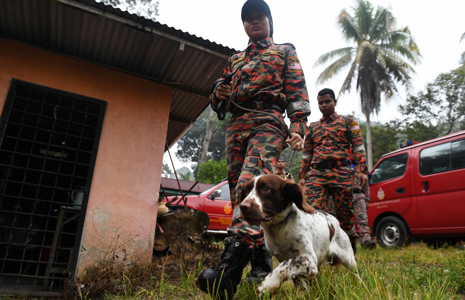 މެލޭޝިއާގެ ރިސޯޓަކުން ގެއްލުނު ޚާއްސަ އެހީ އަށް ބޭނުންވާ ނޯރާ ހޯދުމުގައި ރެސްކިއު ޓީމުގެ މެންބަރުން ކުއްތާއާ އެކު ހަރަކާތްތެރި ވަނީ. --ފޮޓޯ:އޭއެފްޕީ