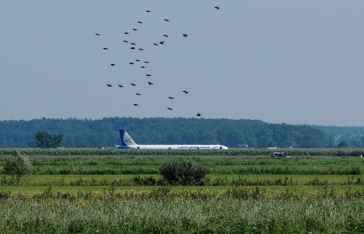 ރަޝިޔާގެ ޔުރަލް އެއާލައިންސްގެ އޭ321 ގެ ބޯޓު ޒުވާރި ދަނޑަށް ޖައްސާފައި: އިންޖީނުގައި ދޫނިތަކެއް ޖެހުމުން އިމަޖެންސީގައި ބޯޓު ޖެއްސި ހާދިސާގައި އެއްވެސް މީހަކަށް ސީރިއަސް ގެއްލުމެއް ލިބިފައެއް ނުވޭ. --ފޮޓޯ:އޭއެފްޕީ