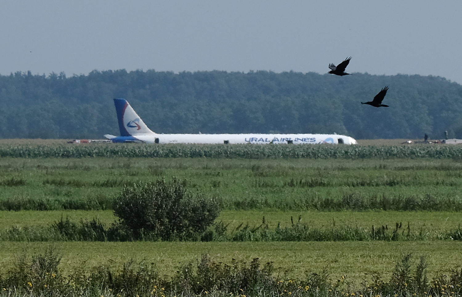 ރަޝިޔާގެ ޔުރަލް އެއާލައިންސްގެ އޭ321 ގެ ބޯޓު ޒުވާރި ދަނޑަށް ޖައްސާފައި: އިންޖީނުގައި ދޫނިތަކެއް ޖެހުމުން އިމަޖެންސީގައި ބޯޓު ޖެއްސި ހާދިސާގައި އެއްވެސް މީހަކަށް ސީރިއަސް ގެއްލުމެއް ލިބިފައެއް ނުވޭ. --ފޮޓޯ:އޭއެފްޕީ