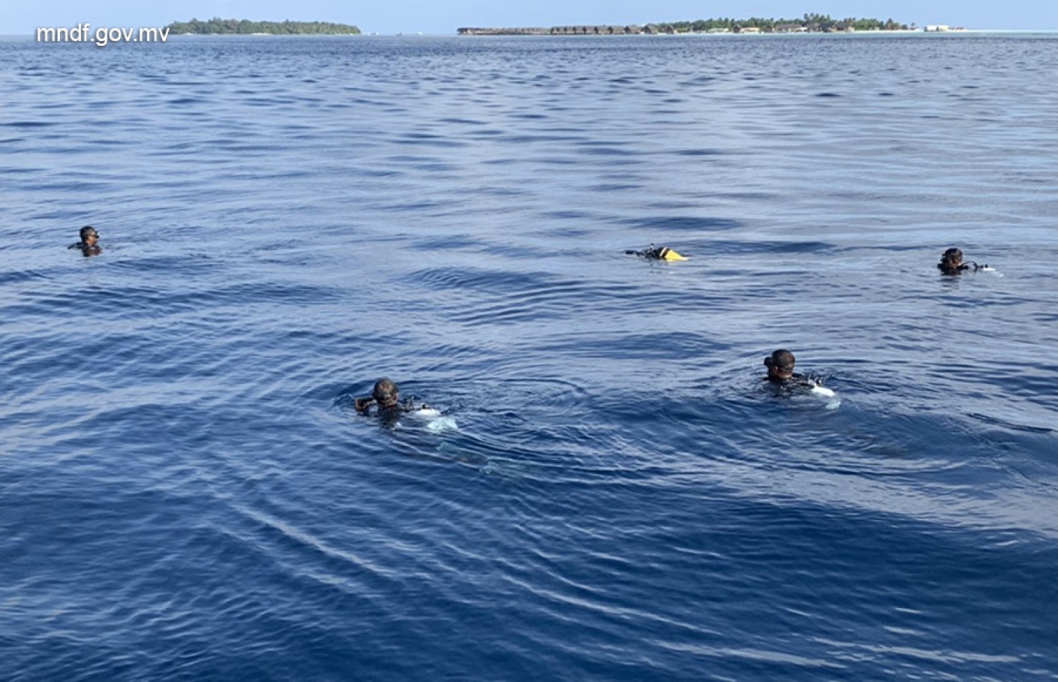 ގެއްލުނު ޓޫރިސްޓް ހޯދުމަށް ސިފައިން ޑައިވް ކުރަނީ. -- ފޮޓޯ: އެމްއެންޑީއެފް