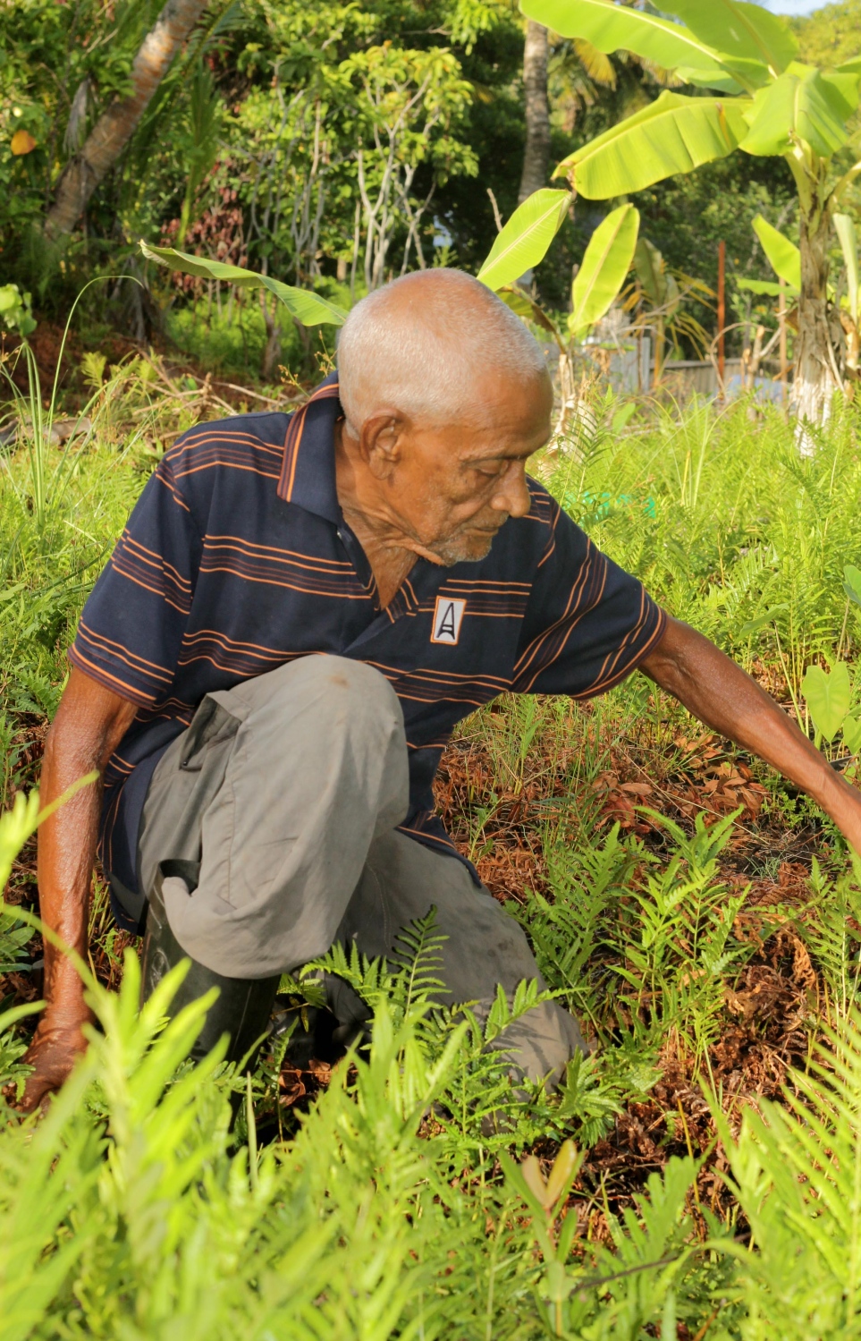 ރަފީގް: ފުވައްމުލަކަށް ގިނަ ހިދުމަތްތަކެއް ކޮށްދެއްވި.