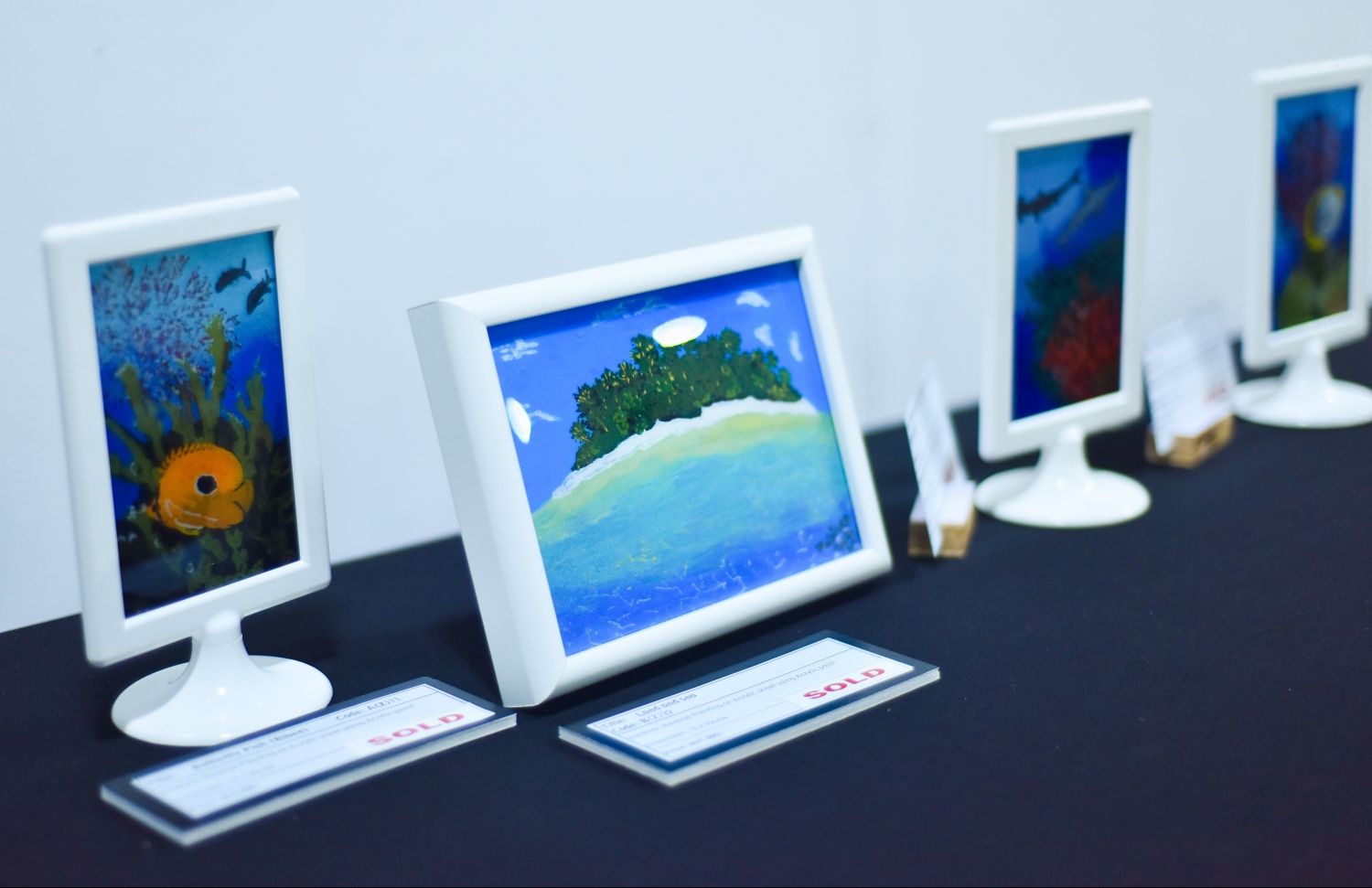 ޑރ. ނާއިލާގެ ކުރެހުންތަކުން ރާއްޖޭގެ ރީތިކަން ދައްކުވައިދޭ -- ފޮޓޯ: ހުސައިން ވަހީދު/މިހާރު