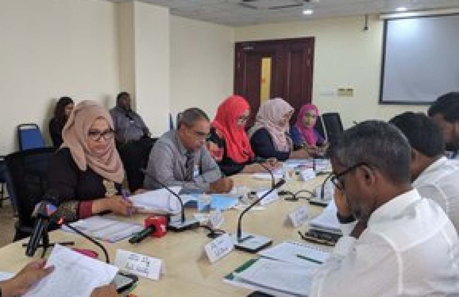 ހިއުމަން ރައިޓްސް ކޮމިޝަންގެ މެމްބަރުންތަކެއް ރައްޔިތުންގެ މަޖިލީހުގެ ކޮމިޓީއެއްގައި. --ފޮޓޯ/މިހާރު