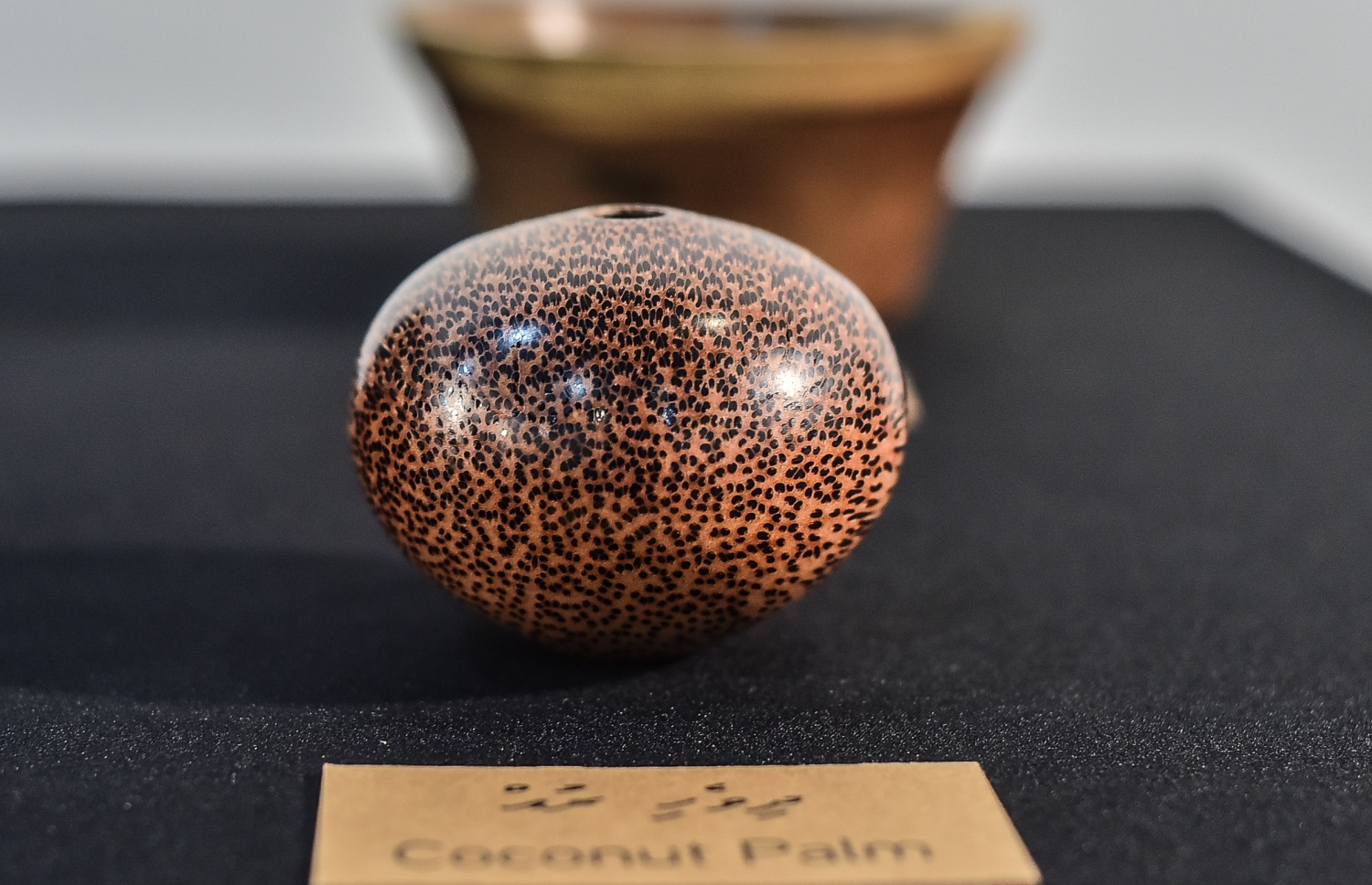 މާލެ: އޮގަސްޓް 26، 2019: އަޒްމީގެ ހުނަރު ދައްކާލުމަށް އާޓު ގެެލެރީގައި ފެށި އެގްޒިބިޝަނުގައި ލަކުޑިން ހަދާފައިވާ އެއްޗެއް.-- ފޮޓޯތައް: ނިޝާން އަލީ /މިހާރު