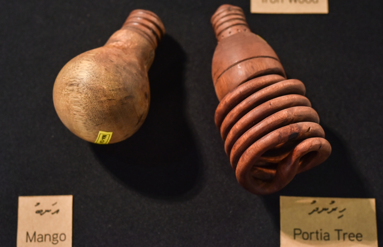 އަޒްމީގެ ހުނަރު ދައްކާލުމަށް ފެށި އެގްޒިބިޝަން