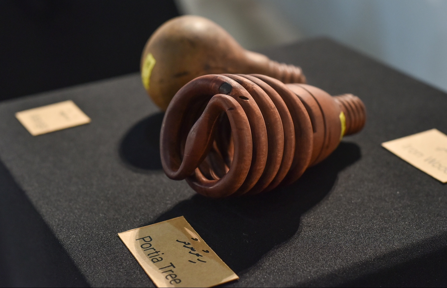 މާލެ: އޮގަސްޓް 26، 2019: އަޒްމީގެ ހުނަރު ދައްކާލުމަށް އާޓު ގެެލެރީގައި ފެށި އެގްޒިބިޝަނުގައި ލަކުޑިން ހަދާފައިވާ އެއްޗެއް.-- ފޮޓޯތައް: ނިޝާން އަލީ /މިހާރު