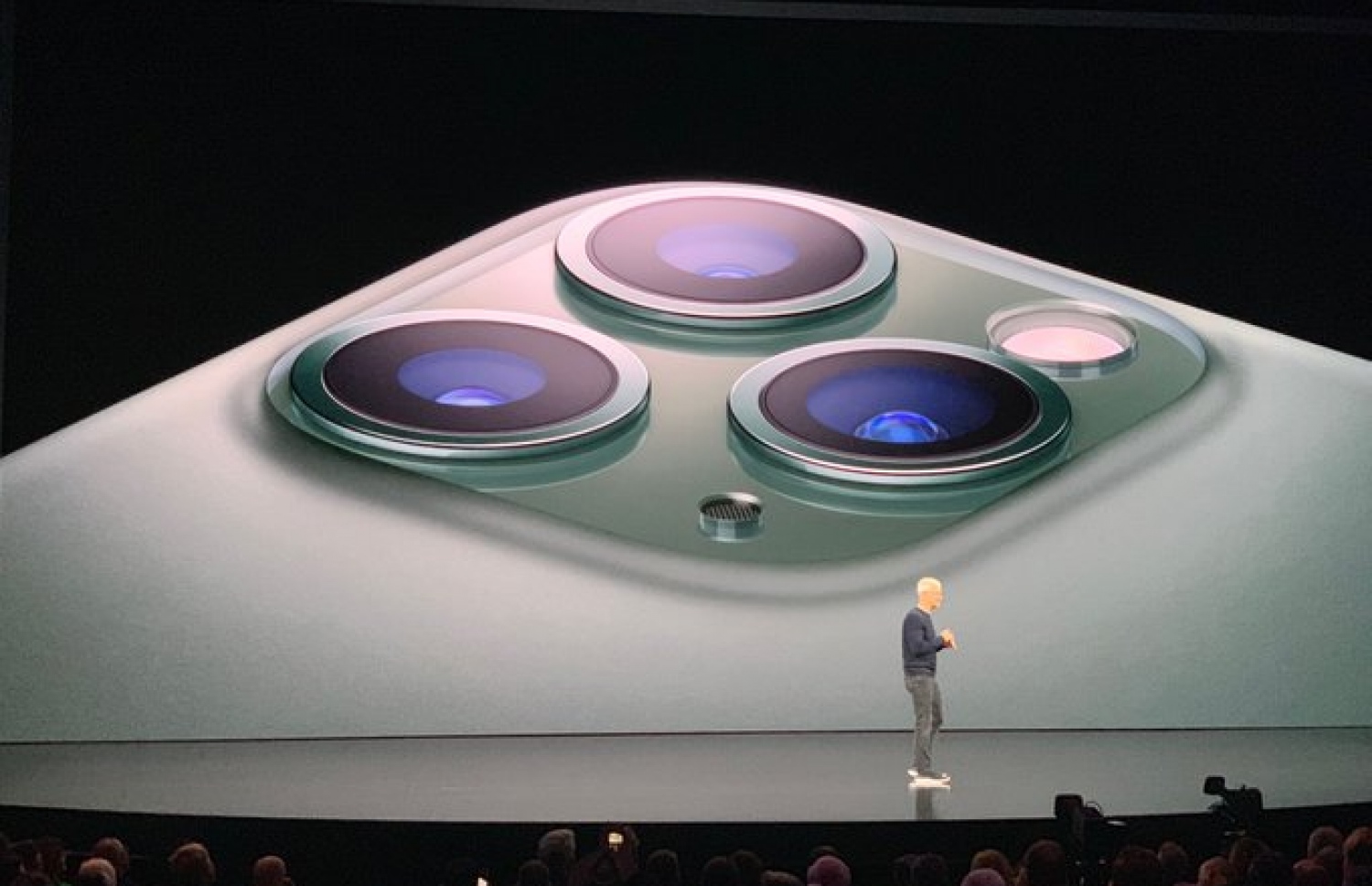 އެޕަލްގެ އާ އުފެއްދުންތައް ދައްކާލުމަށް ބޭއްވި ހާއްސަ ހަފުލާގައި ތިން މޮޑެލްއެއްގެ ފޯނު ވަނީ ތައާރަފްކޮށްފައި. އެއީ އައިފޯން 11، އައިފޯން 11 ޕްރޯ އަދި އައިފޯން 11 ޕްރޯ މެކްސް. މީގެ އިތުރުން އެޕަލް ވޮޗް ސީރީޒް 5 އާއި އައިޕެޑް 7 ވެސް ވަނީ ތައާރަފްކޮށްފައި.