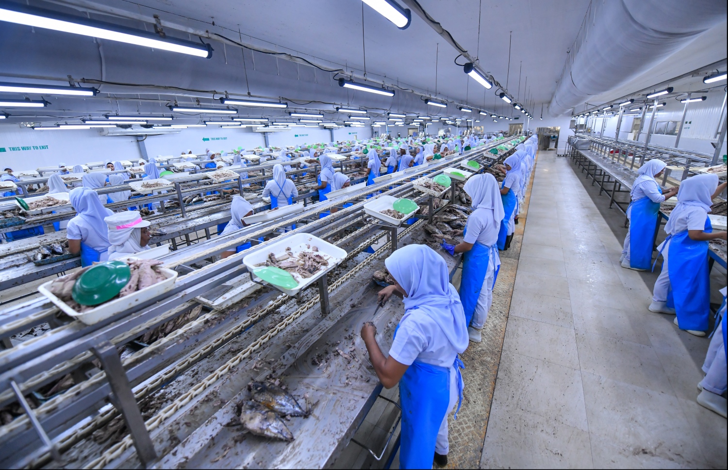 މިފްކޯ މަސް ފެކްޓަރީ: މިފްކޯއަށް މަސް ގަންނަނީ މާކެޓް ރޭޓަށް ވުރެ ބޮޑުކޮށް