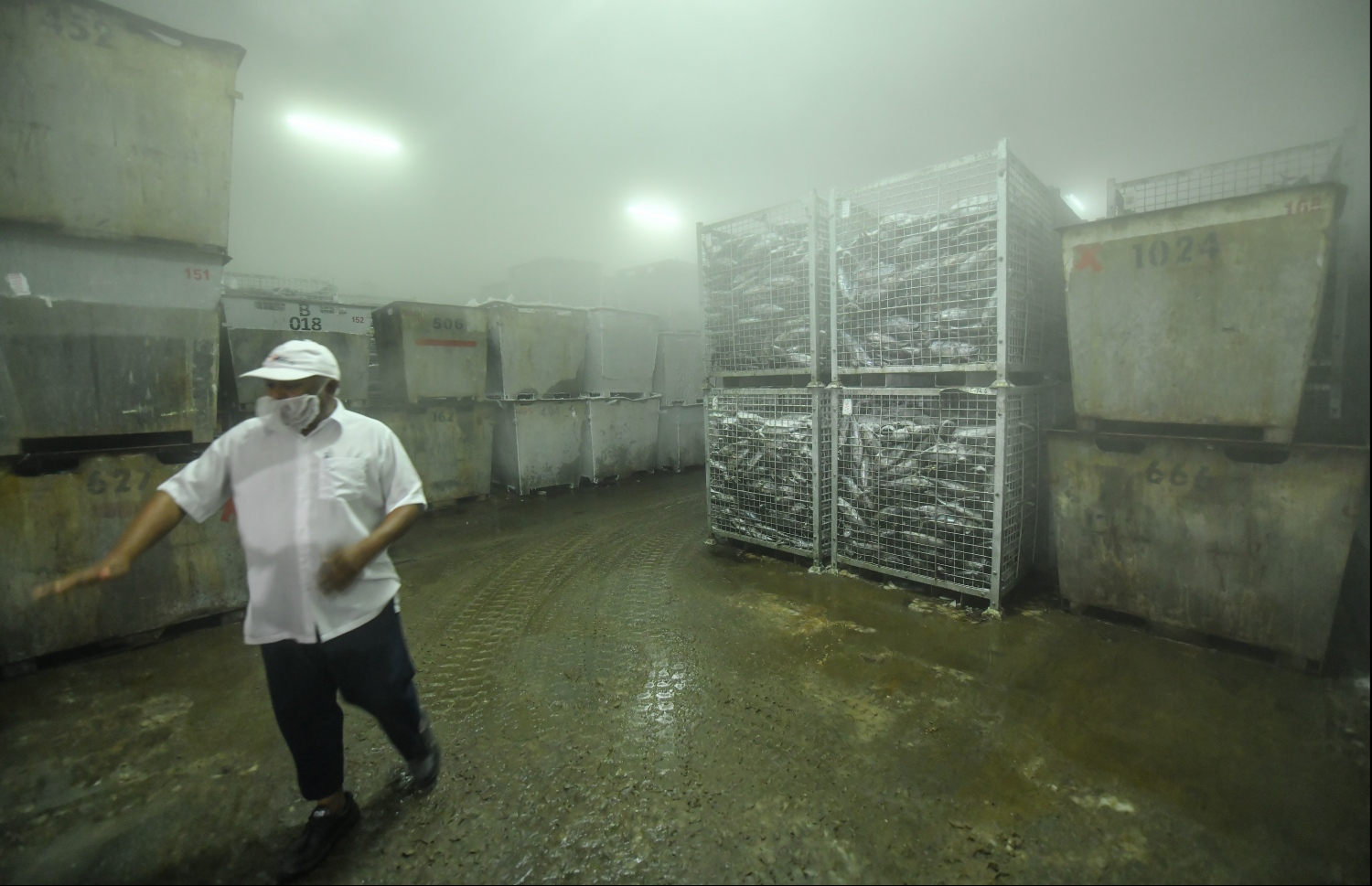 ފެލިވަރުގައި މަސް ރައްކާކުރާ ސްޓޯރޭޖް: ތަން ވަނީ ފުރިފައި -- ފޮޓޯ: ހުސައިން ވަހީދު/ މިހާރު