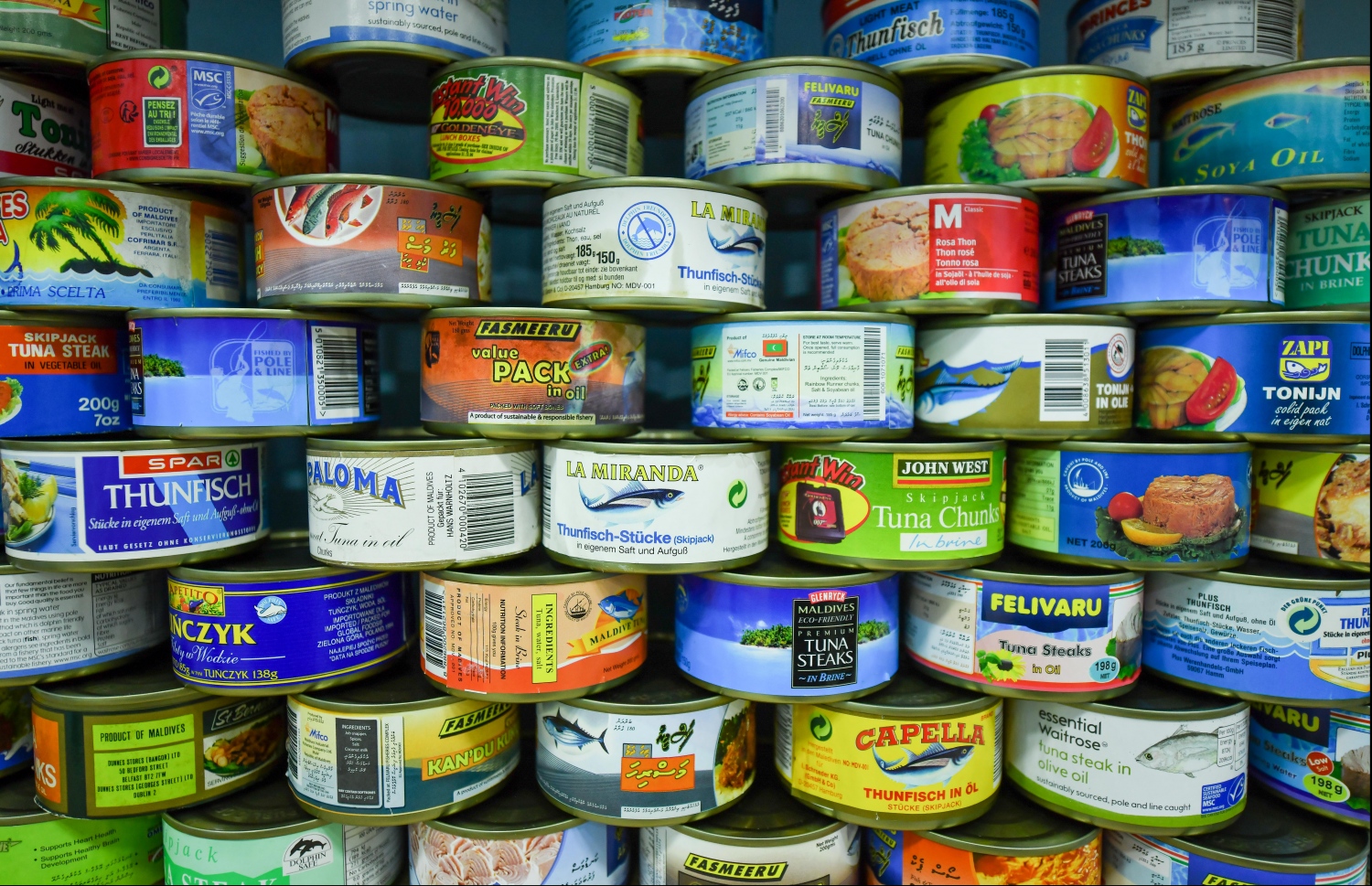 ފެލިވަރުން ބަންދުކުރާ މަސް ދަޅުތައް-- ފޮޓޯ: ނިޝާން އަލީ/ މިހާރު