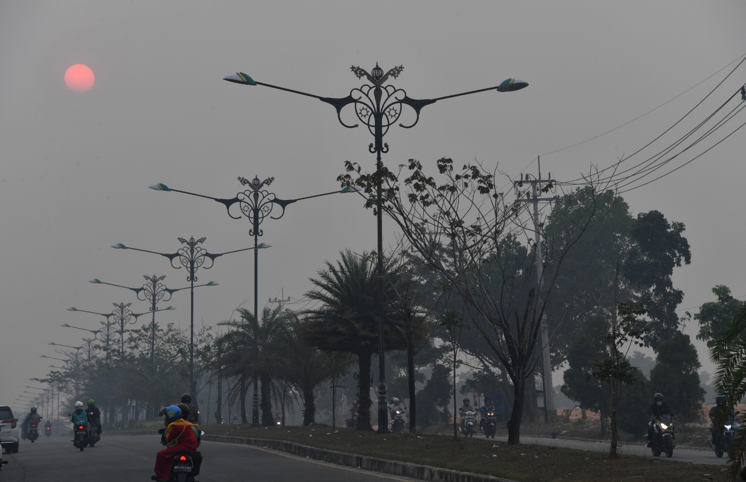 އިންޑޮނީޝިއާގެ ޖަންގަލިތަކުގައި ރޯވެފައިވާ އަލިފާނުގެ ސަބަބުން އެ ގައުމުގެ ސުމަތުރާ އައިލެންޑުގެ ރިއާ ޕްރޮވިންސްގެ ޖައްވުމުގައި ދުންބޯވެފައި. --ފޮޓޯ:އޭއެފްޕީ