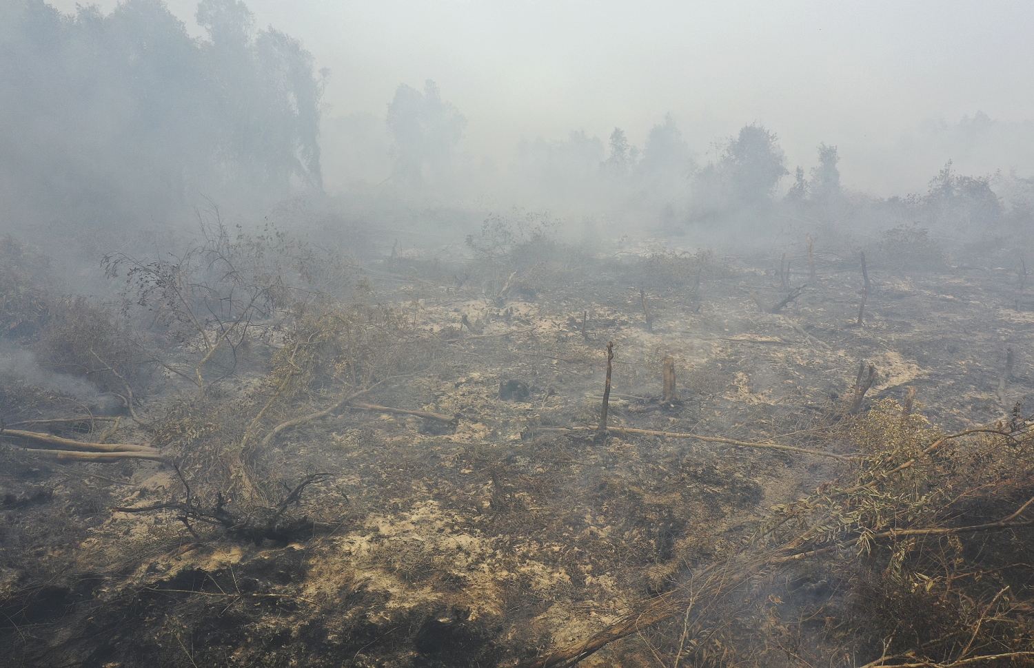 އިންޑޮނީޝިއާގެ ޖަންގަލިތަކުގައި ރޯވެފައިވާ އަލިފާނުގެ ސަބަބުން އެ ގައުމުގެ ރިއާު ޕްރޮވިންސްގެ ޖަންގައްޔަކުން ދުން އަރަނީ. --ފޮޓޯ:އޭއެފްޕީ