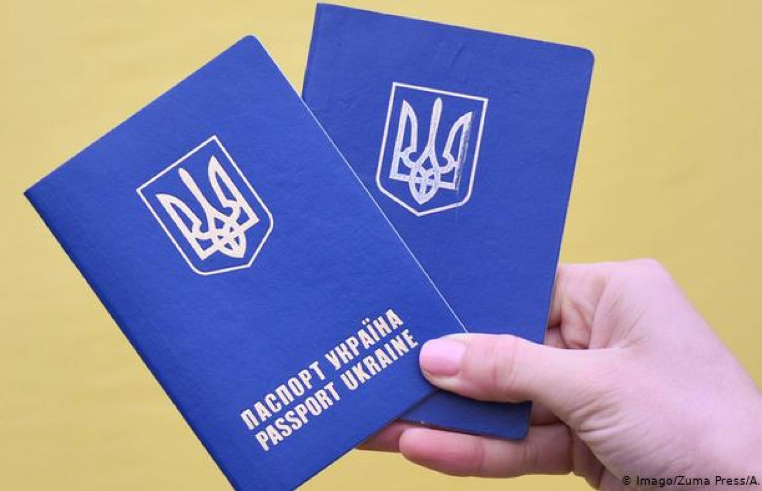 ޔުކްރޭން ޕާސްޕޯޓްތަކެއް.