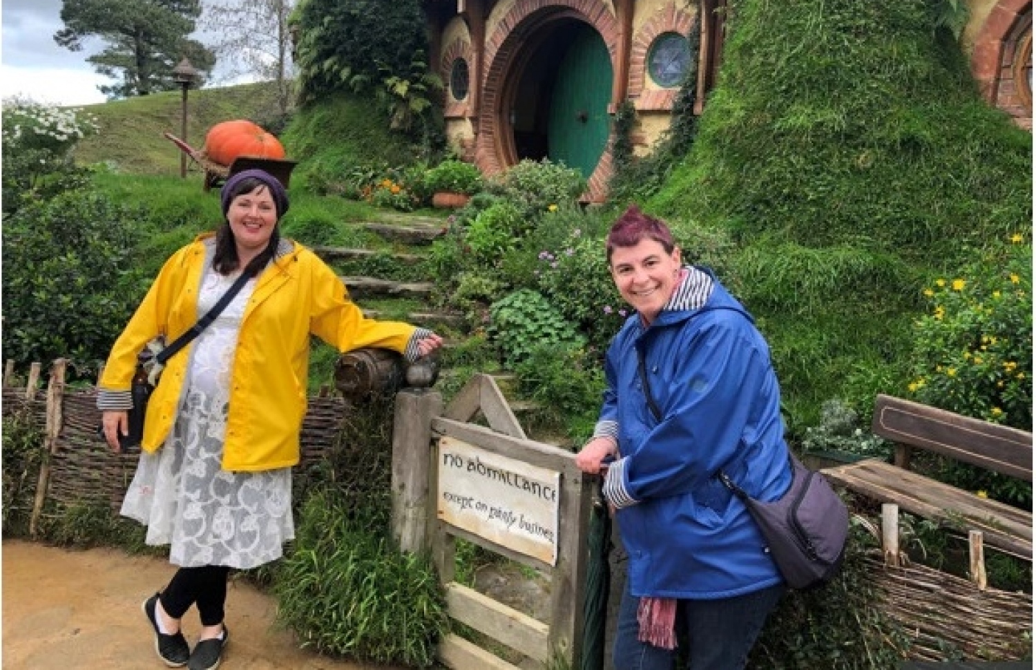 ޓެމީ ވެޑިން ޑްރެސްގައި.