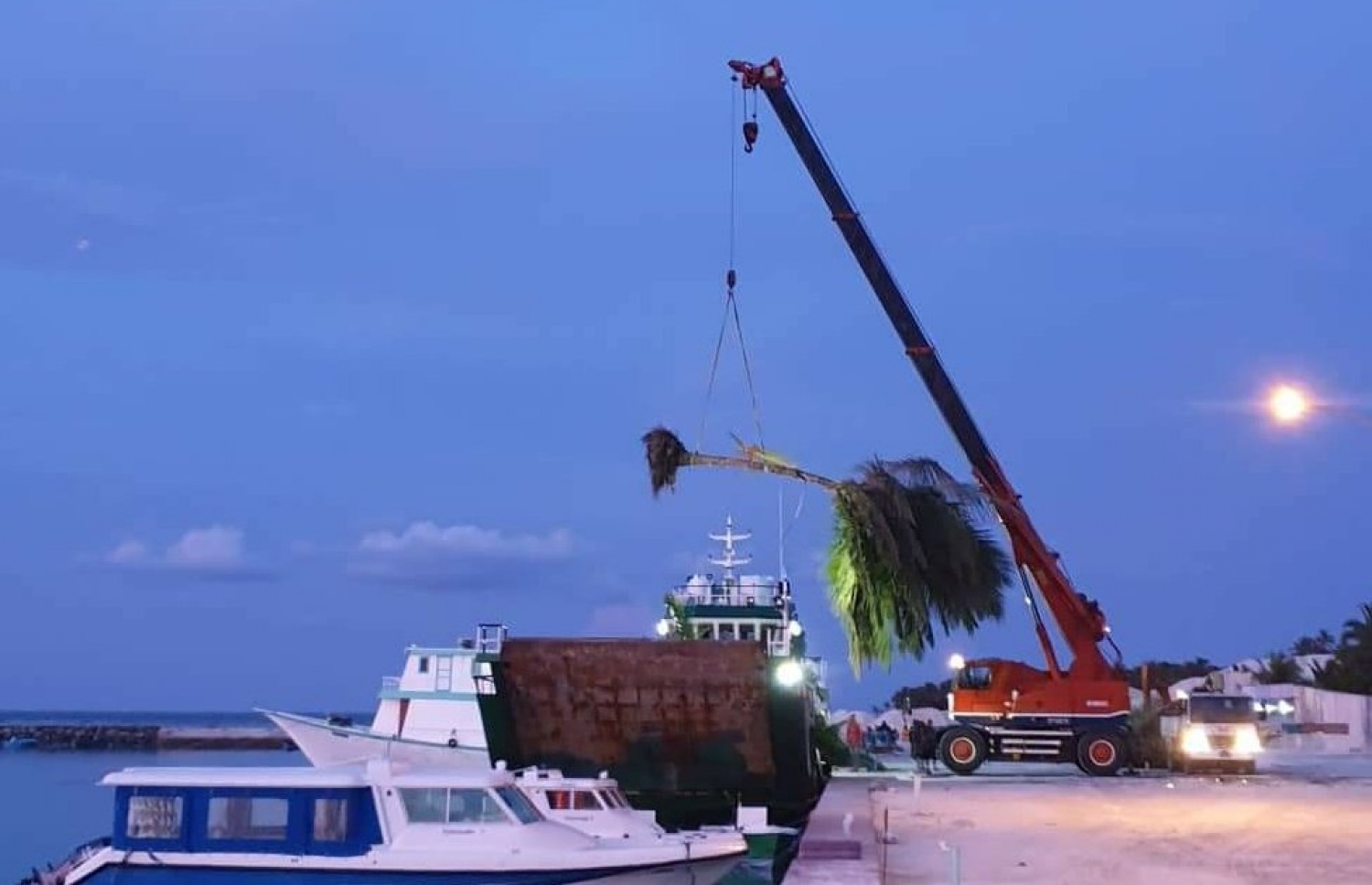 ރިސޯޓްތަކަށް ގެންދިއުމަށް ބާރަށުން ކޮޅުވެއްޓިއަކަށް ރުއް އަރުވަނީ: އެކަން އަނެއްކާވެސް އާންމުވުމުން ކަންބޮޑުވުން އިތުރު-- ފޮޓޯ: އާދަމް އަބްދުﷲ