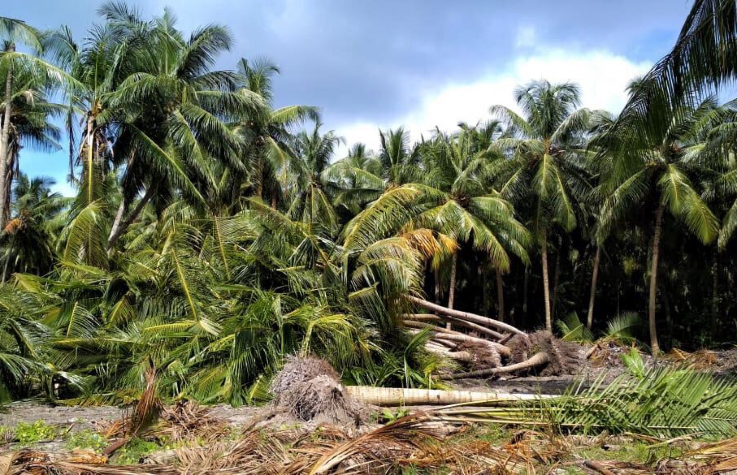 ރިސޯޓްތަކަށް ގެންދިއުމަށް ބާރަށުން ނަގާފައިވާ ރުއްތަކެއް: އެކަން އަނެއްކާވެސް އާންމުވުމުން ކަންބޮޑުވުން އިތުރު-- ފޮޓޯ: އާދަމް އަބްދުﷲ