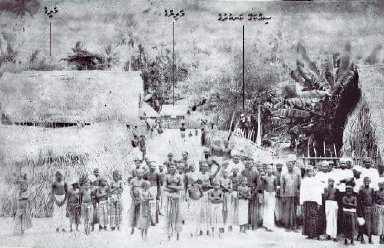 މުލިއާގެ، މުލީގޭގެ ގޮތުގައި ފަނުން ހަދާފައި ހުރި ދުވަސްވަރުގެ ފޮޓޯއެއް.