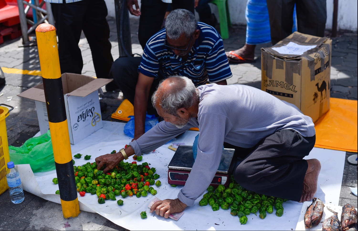 ދަތުރުވެރިންގެ މާރުކޭޓުގެ ބޭރުގައި ވިޔަފާރި ކުރާ ބަޔަކު މިރުސްތަކެއް ވިއްކަނީ -- ފޮޓޯ: ހުސައިން ވަހީދު/މިހާރު