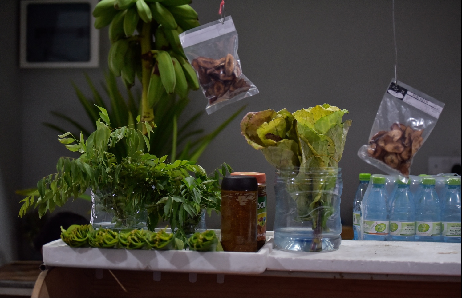 ހުޅުމާލެ: އޮކްޓޯބަރު 21، 2019: ހުޅުމާލެ ފެރީ ޓާމިނަލް ކައިރީގައި ހަދާފައިވާ "ހުޅުމާލެ ރަށު މާރުކޭޓު" ހުޅުވުން: މިއީ ރާއްޖޭގައި މިހާތަނަށް ހަދާފައިވާ އެންމެ ރީތި އެންމެ ޒަމާނީ މާރުކޭޓު.-- ފޮޓޯތައް: ހުސެން ވަހީދު /މިހާރު