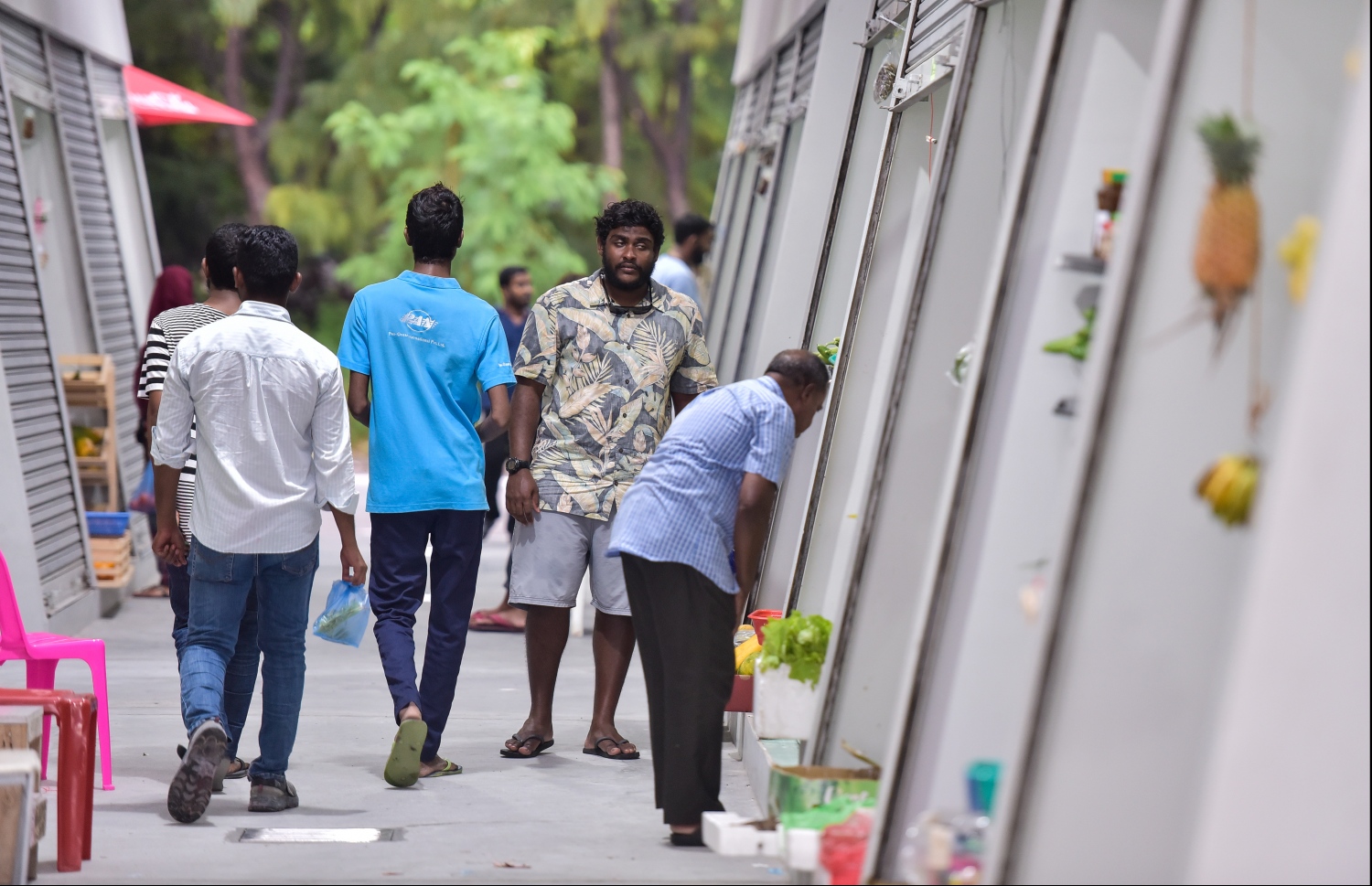 ހުޅުމާލެ: އޮކްޓޯބަރު 21، 2019: ހުޅުމާލެ ފެރީ ޓާމިނަލް ކައިރީގައި ހަދާފައިވާ "ހުޅުމާލެ ރަށު މާރުކޭޓު" ހުޅުވުން: މިއީ ރާއްޖޭގައި މިހާތަނަށް ހަދާފައިވާ އެންމެ ރީތި އެންމެ ޒަމާނީ މާރުކޭޓު.-- ފޮޓޯތައް: ހުސެން ވަހީދު /މިހާރު