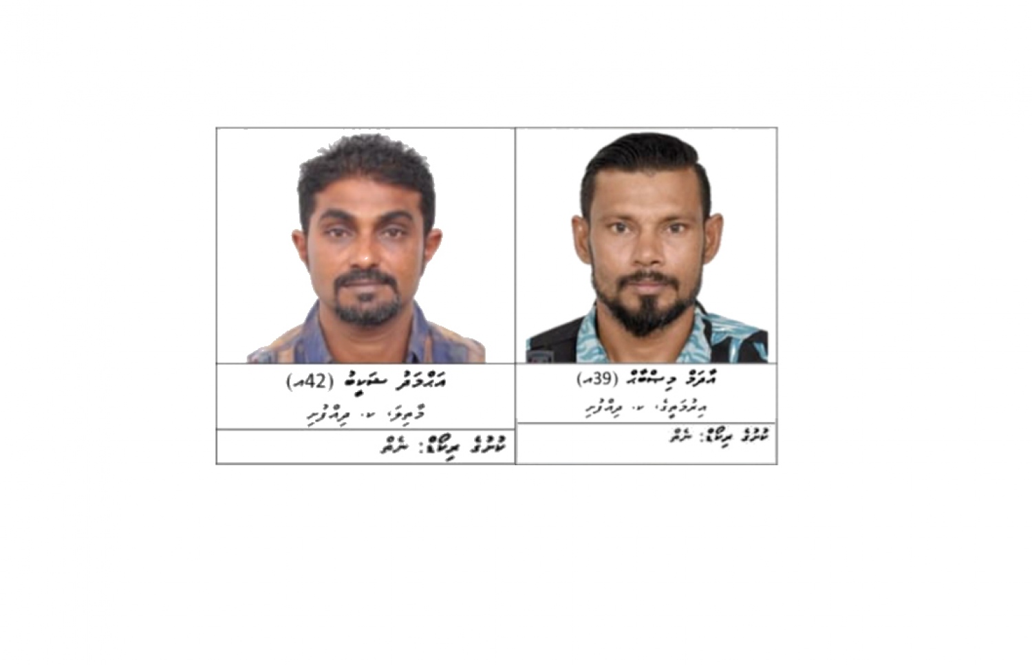 ދޯނީގެ ކެޕްޓަން މިސްބާހާއި ޝަކީބް: ޑްރަގްގެ މައްސަލާގައި މިހާރު ތިބީ ހައްޔަރުކޮށްފައި