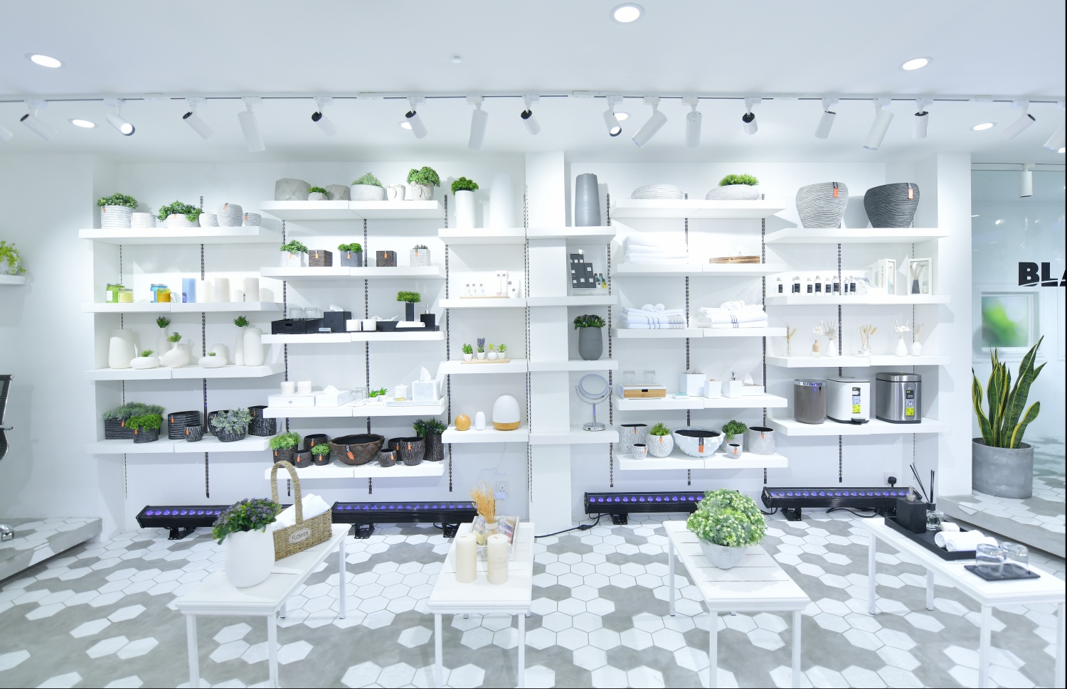 ވެލިގާގެ ބްލަންކް ފިހާރަ. މިއީ ފާޚާނާ އާއި ގޭތެރެ ޑިޒައިން ކުރާ ތަކެއްޗަށް ހާއްސަ ފިހާރަ--ފޮޓޯ:މިހާރު