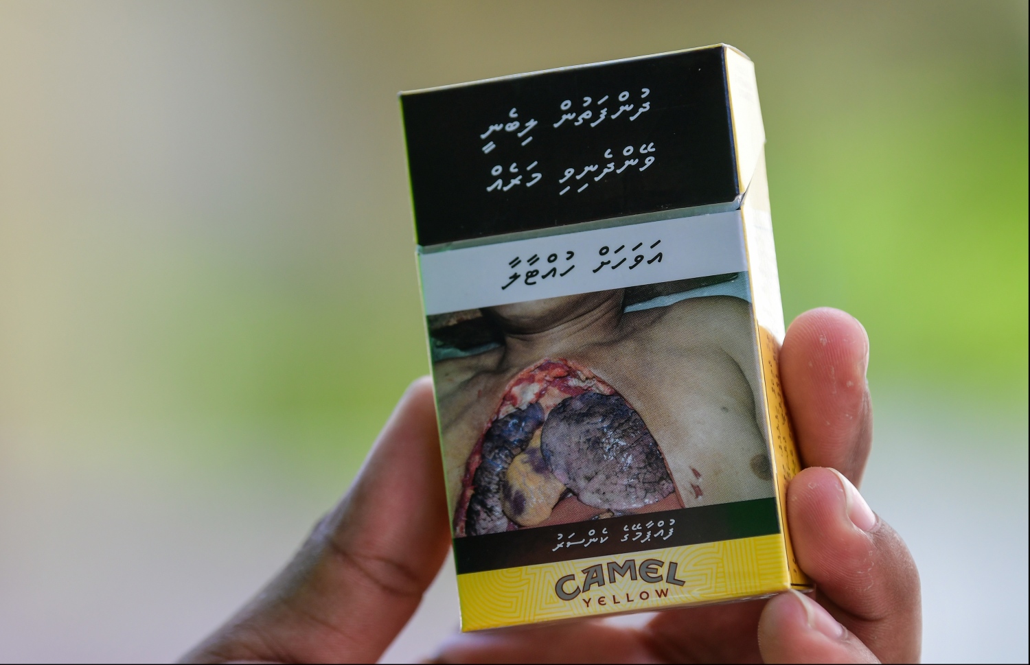 ސިނގިރޭޓް ފޮއްޓެއް: ސިނގިރޭޓުން ނަގާ ޑިއުޓީ ކުޑަ ކުރަން އުޅޭތީ ގިނަ ބަޔަކު އަންނަނީ ފާޑު ކިޔަމުން-- ފޮޓޯ: ނިޝާން އަލީ/މިހާރު