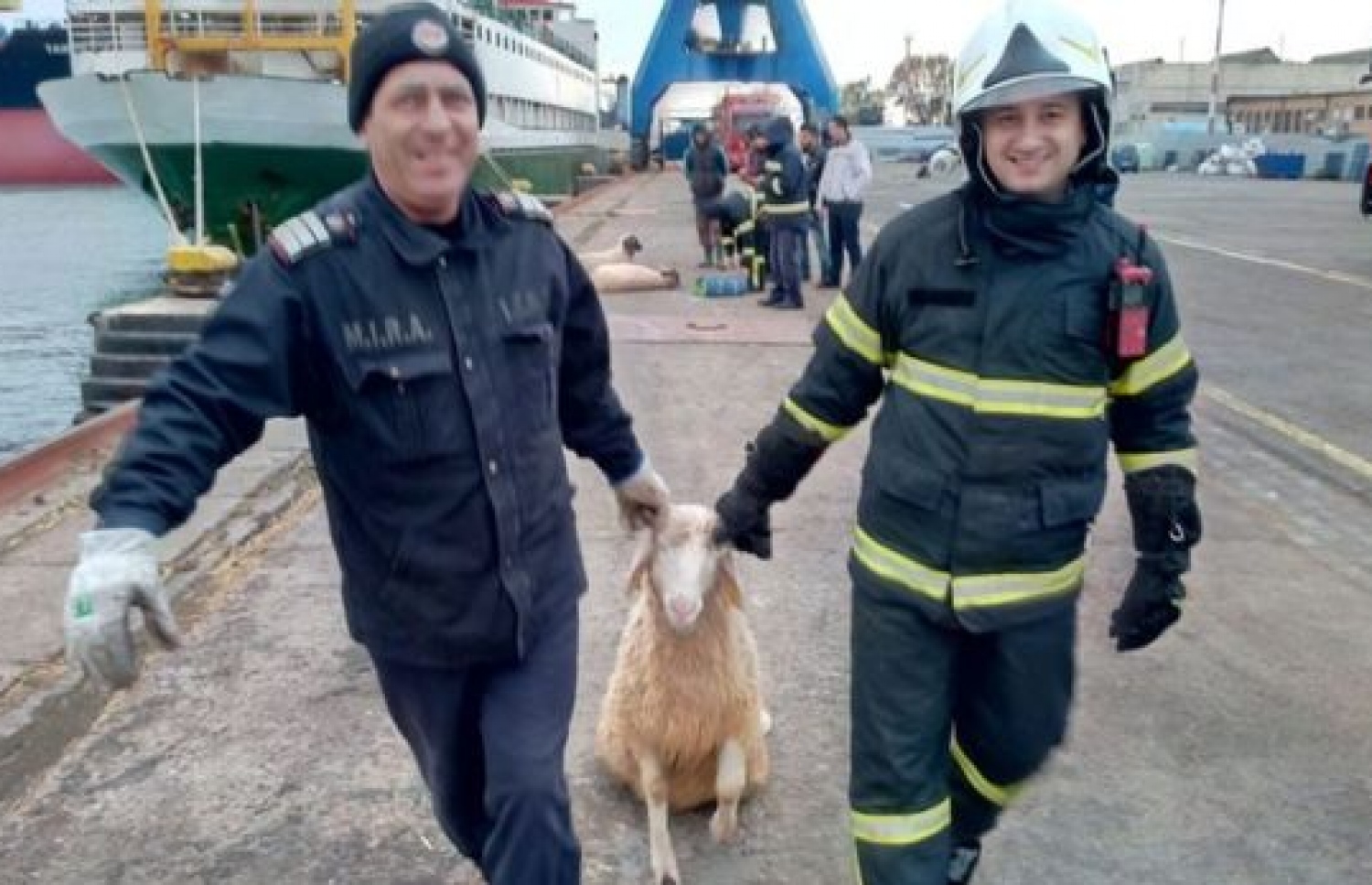 ކަންބަޅިތައް ސަލާމަތް ކުރުމުގައި ރުމޭނިއާގެ ފުލުހުންނާއި ފަޔާފައިޓަރުން އަދި ކޯސްޓްގާޑުން ދަނީ ހަރަކާތްތެރިވަމުން. --ފޮޓޯ:އައިއެސްޔޫ ކޮންސްޓަންޓާ