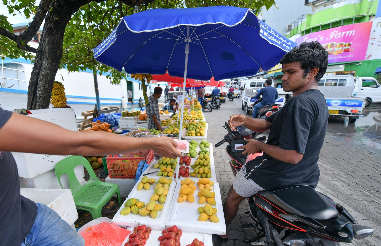 މާރުކޭޓު ސަރަހައްދުގައި ބަޔަކު ވިޔަފާރި ކުރަނީ-- ފޮޓޯ: ނިޝާން އަލީ/މިހާރު