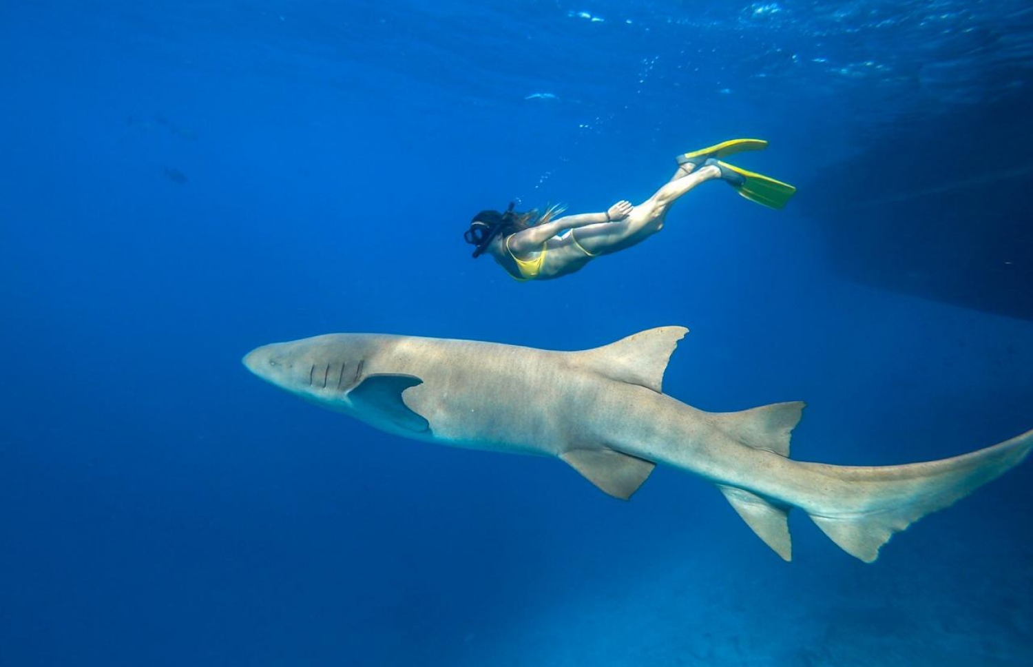 އަންހެން ޓޫރިސްޓަކު ބޮޑު މިޔަރަކާ އެއް ވަރަށް ފީނޭތޯ މަސައްކަތްކުރަނީ: މިއީ ރާއްޖޭގެ ހިތްގައިމު މަންޒަރެއް - ފޮޓޯ: ޝެޑޯޕާމް