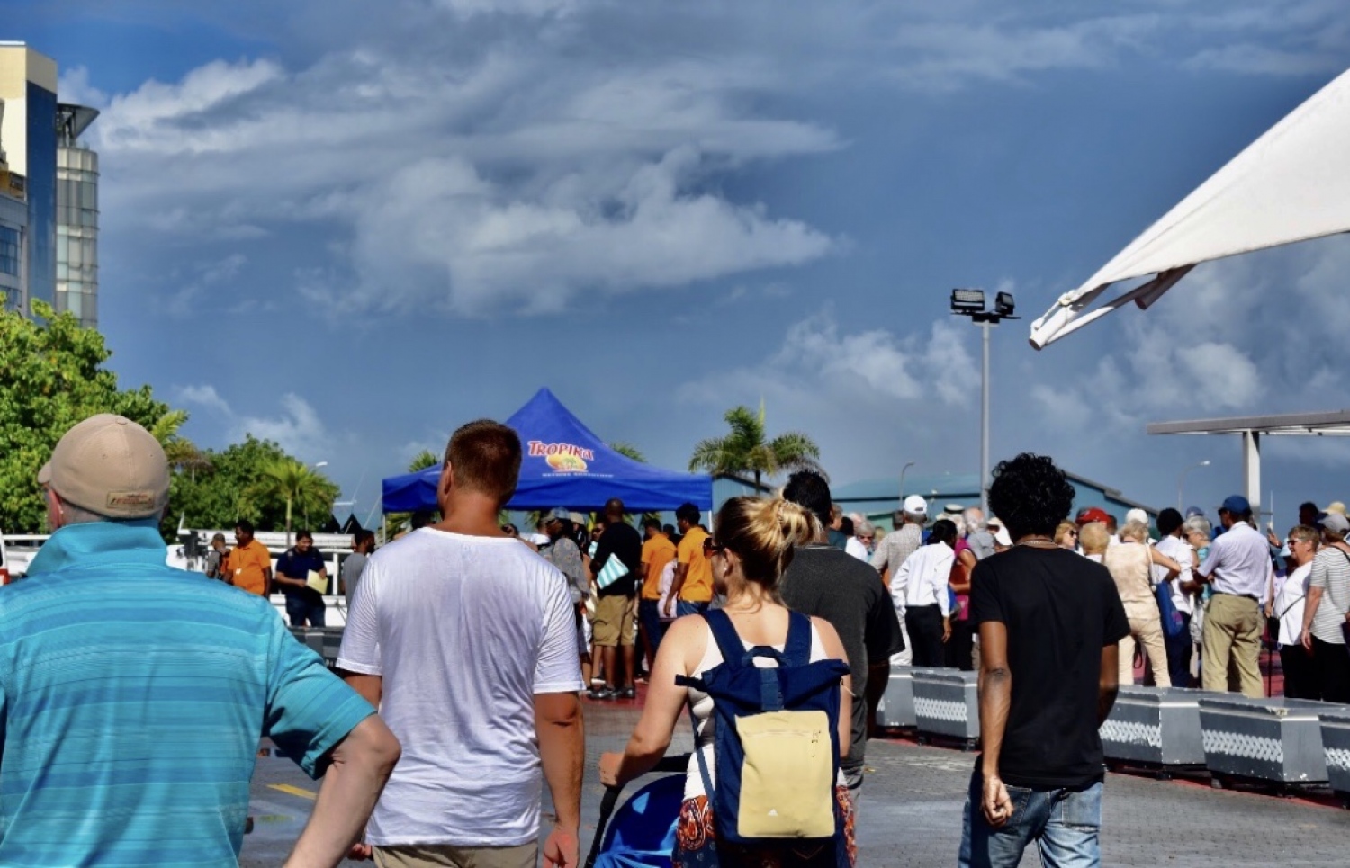 ނޯވޭޖިއަން ޖޭޑް