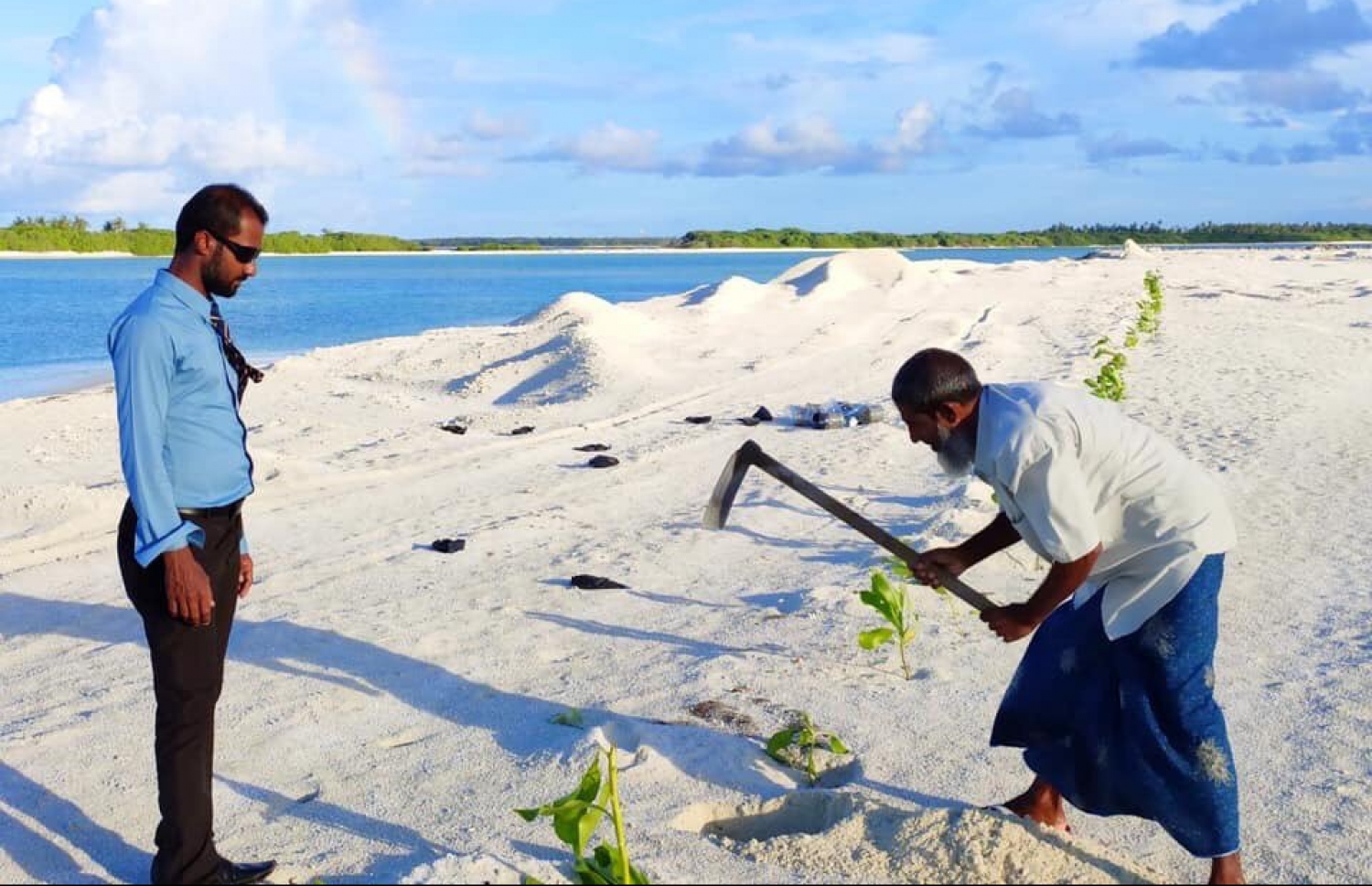 ހޯރަފުށި ހިއްކި ސަރަހައްދުގައި ގަސް އިންދުމުގެ މަސައްކަތް-- ފޮޓޯ:އެމްޓީސީސީ