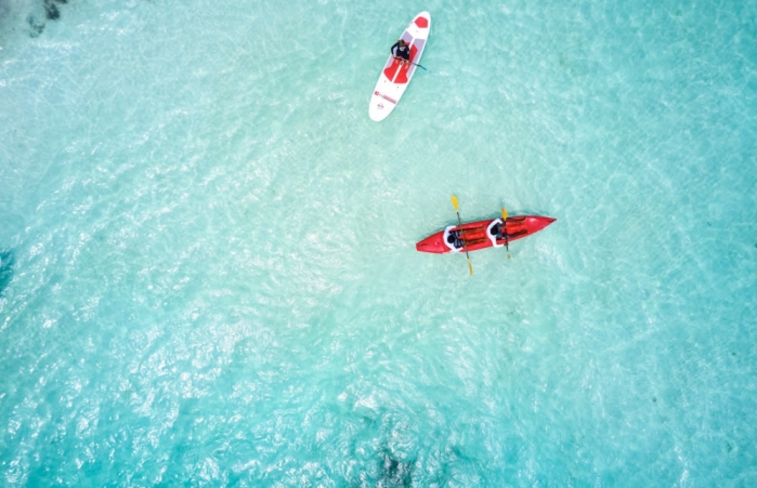 ސަން ސިޔާމް ރިސޯޓެއްގެ ޓުރިސްޓުންތަކެއް ކެނޯ ދުއްވަނީ-- ފޮޓޯ: ސަން ސިޔާމް