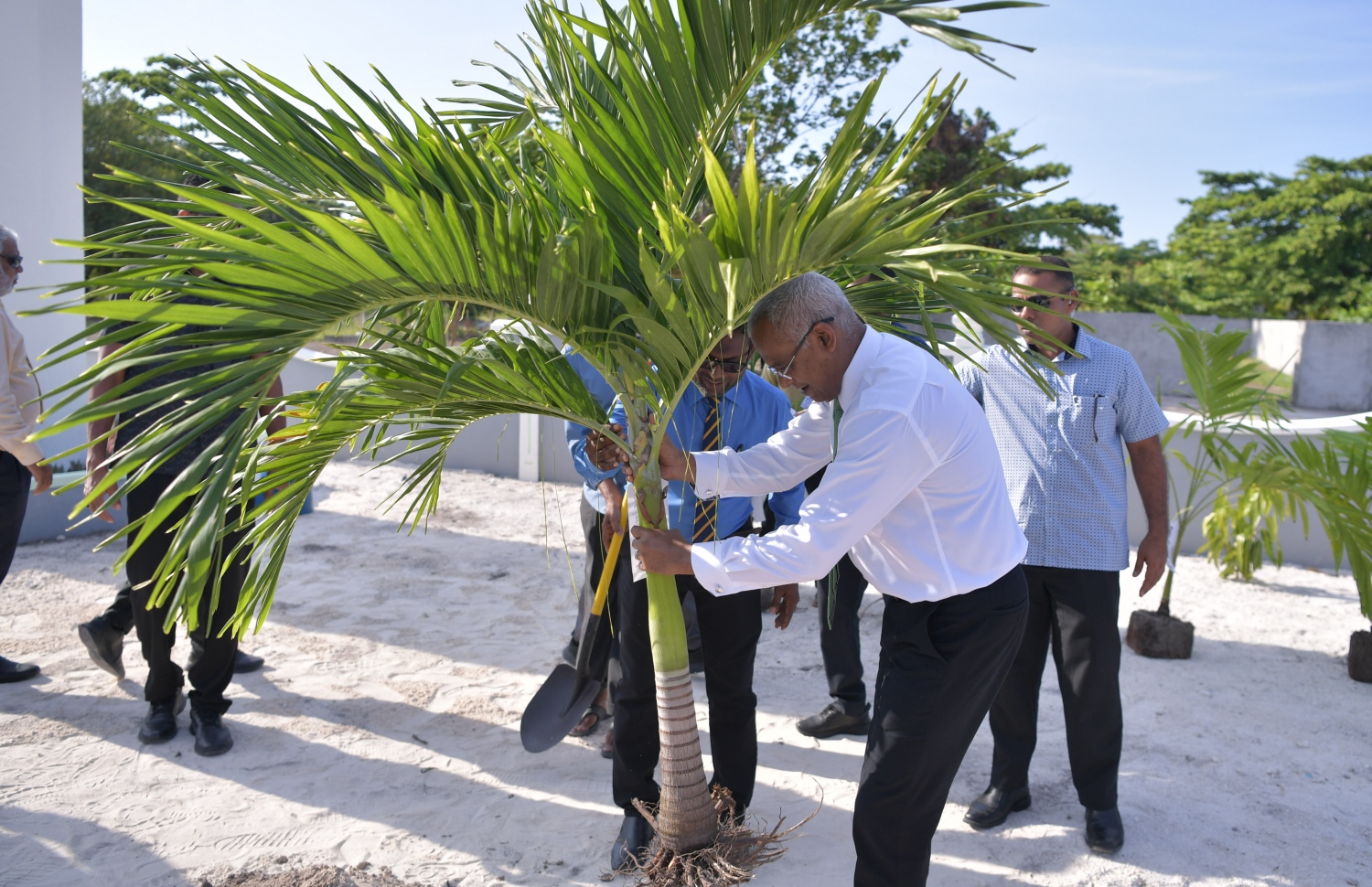 ނ. ކެނދިކުޅުދޫ: ޖެނުއަރީ 8، 2020:  ނ. ކެނދިކުޅުދޫގައި އަލަށް އިމާރާތް ކޮށްފައިވާ "މަސްޖިދުއްރަޙްމަތު" މިސްކިތް ރަސްމީކޮށް ހުޅުވުމަށްފަހު، ރައީސް އިބްރާހިމް މުހައްމަދު ސޯލިހު މިސްކިތު ގޯތިތެރޭގައި ގަހެއް އިންދަވަނީ.-- ފޮޓޯ: ރައީސް އޮފީސް