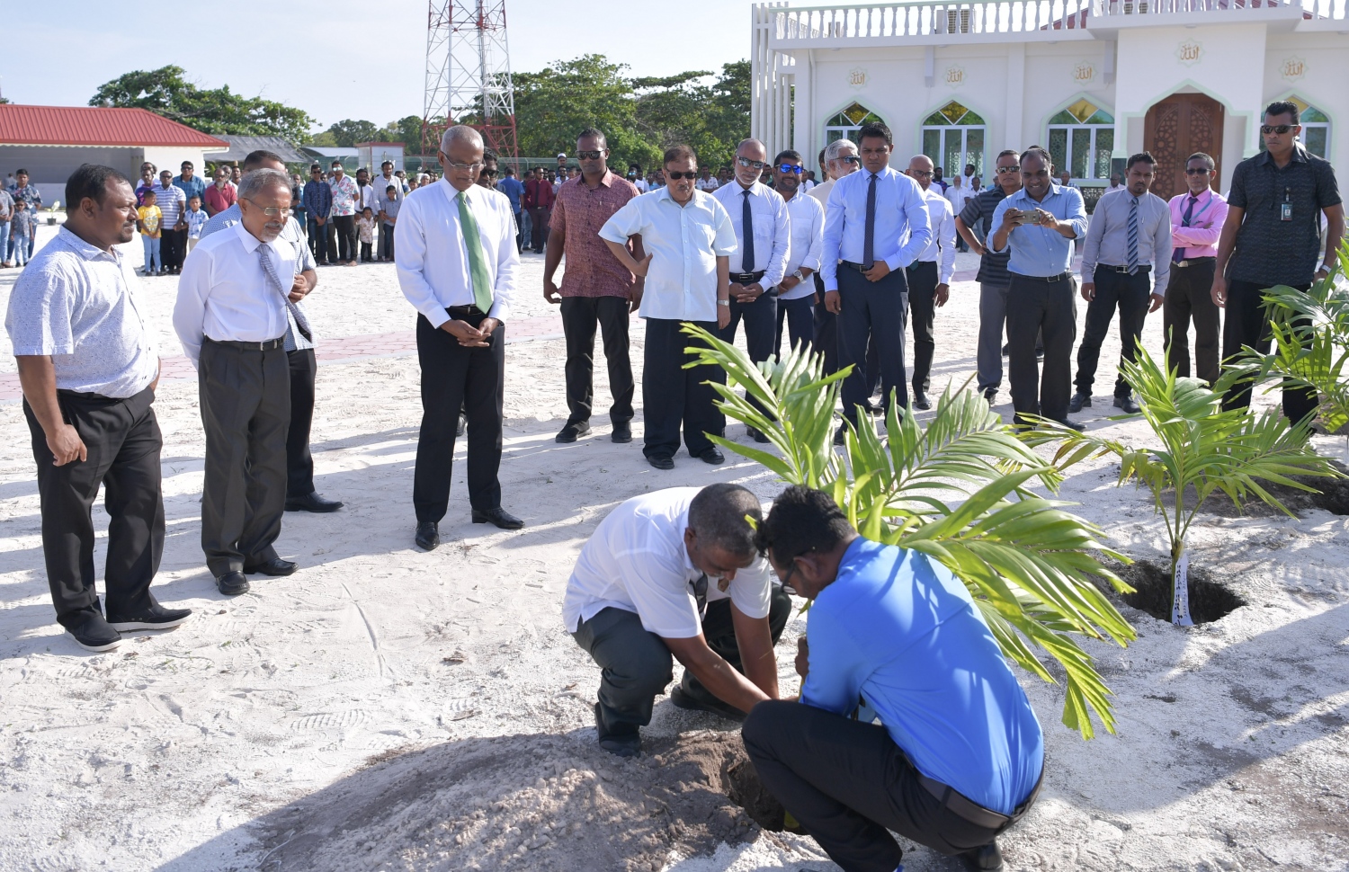 ނ. ކެނދިކުޅުދޫ: ޖެނުއަރީ 8، 2020:  ނ. ކެނދިކުޅުދޫގައި އަލަށް އިމާރާތް ކޮށްފައިވާ "މަސްޖިދުއްރަޙްމަތު" މިސްކިތް ރަސްމީކޮށް ހުޅުވުމަށްފަހު، މިސްކިތު ގޯތިތެރޭގައި ގަހެއް އިންދަނީ.-- ފޮޓޯ: ރައީސް އޮފީސް