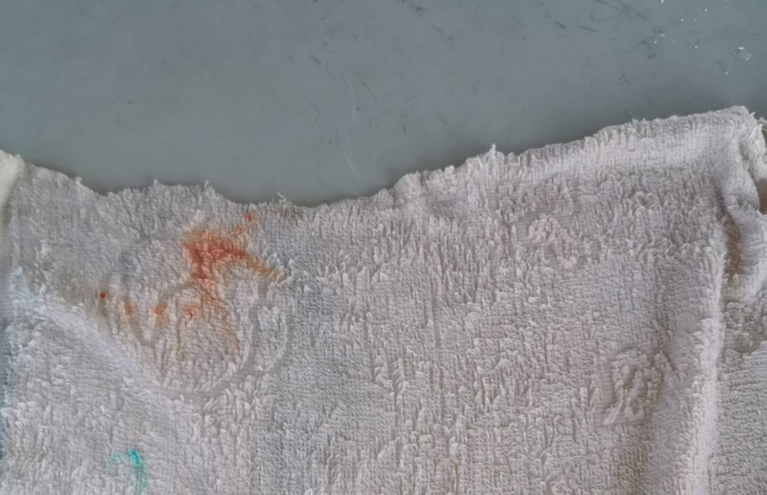 ކައްޕި މުހައްމަދު ހޯދަން ސިފައިންގެ ޑައިވަރުން މިއަދު ފީނި ސަރަހައްދުން ފެނުނު ހުދު ކުލައިގެ ތުވާލިކޮޅު: މި ތުވާލިކޮޅުން ރަތްކުލައިގައި އެ ފެންނަނީ ލޭ ކަމަށް އެނގިފައިވޭ.