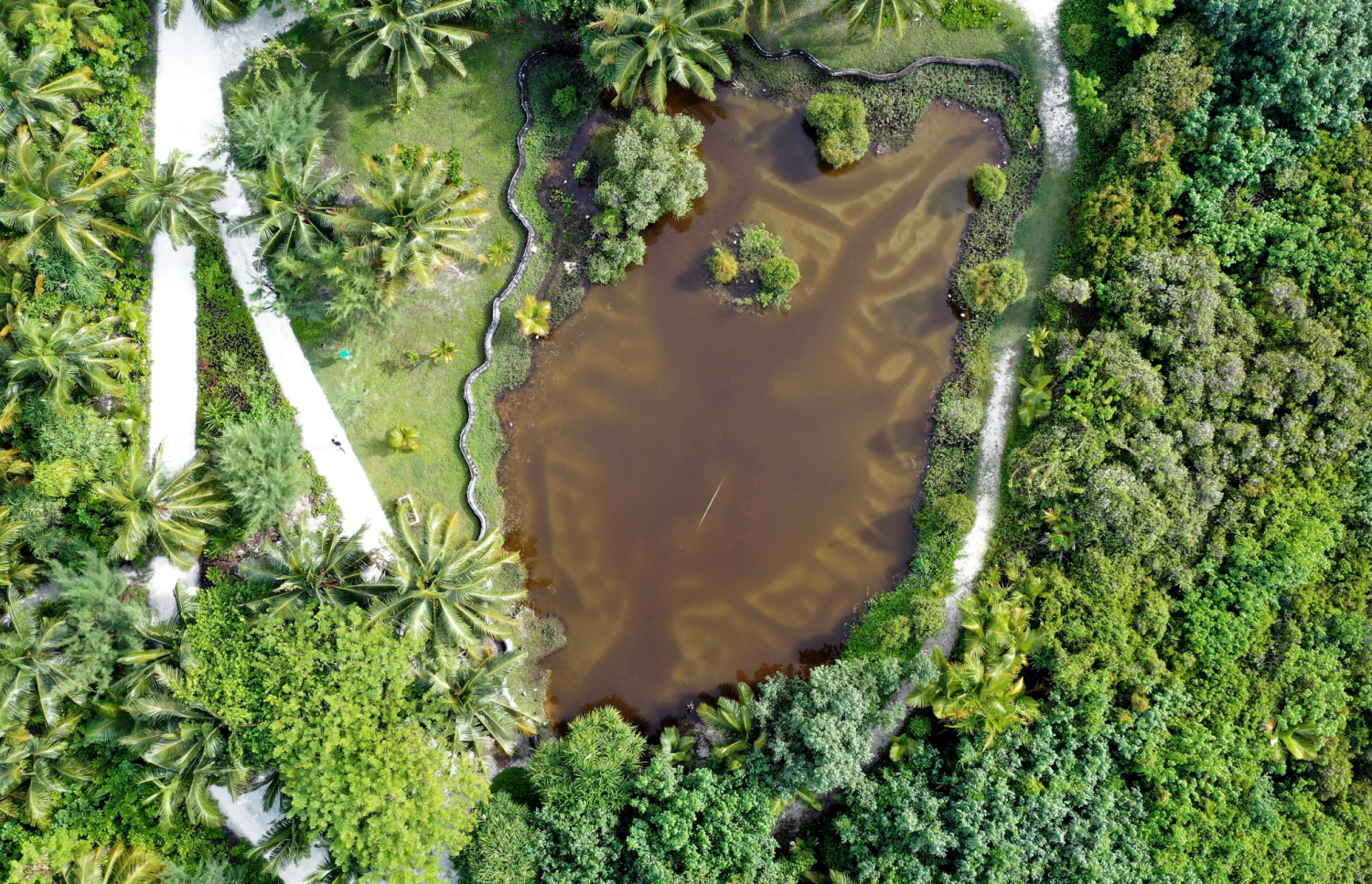 ކެނަރީފް ރިސޯޓުގައި އޮންނަ ކުޅިއެއް: އައްޑޫގެ ޓޫރިޒަމް ބްރޭންޑުކޮށް އިފްތިތާހުކުރަން ސިޓީ ކައުންސިލުން ވަނީ ތައްޔާރުވެފައި.-- ފޮޓޯ: ދި އެޑިޝަން