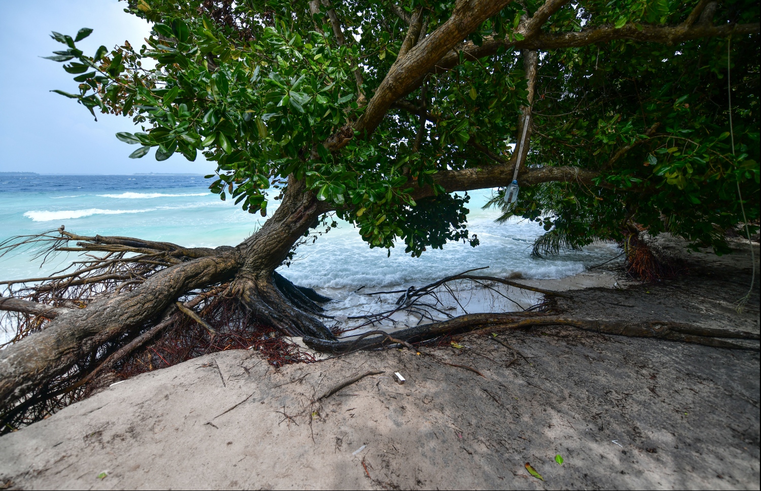 ބ.ދަރަވަންދޫގެ އަތިރިމަތި ގިރާލާފައި.-- ފޮޓޯ: ހުސެއިން ވަހީދު/ މިހާރު