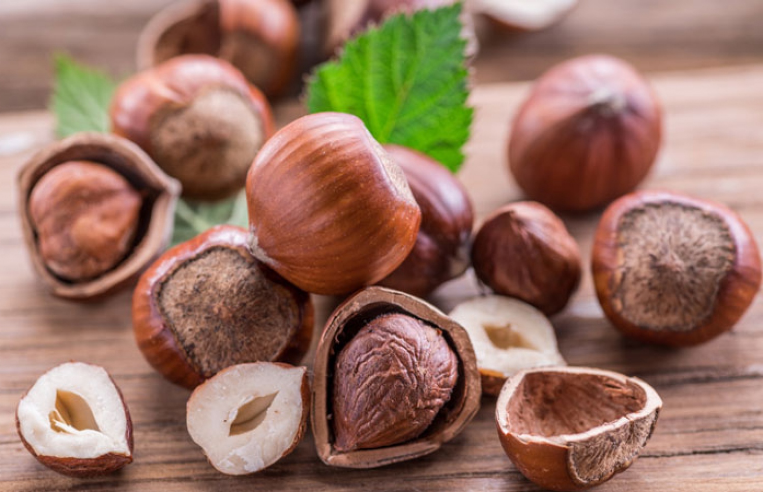 ހެޒެލްނަޓްސް.